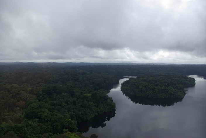 Reflet dans les eaux du Gabon