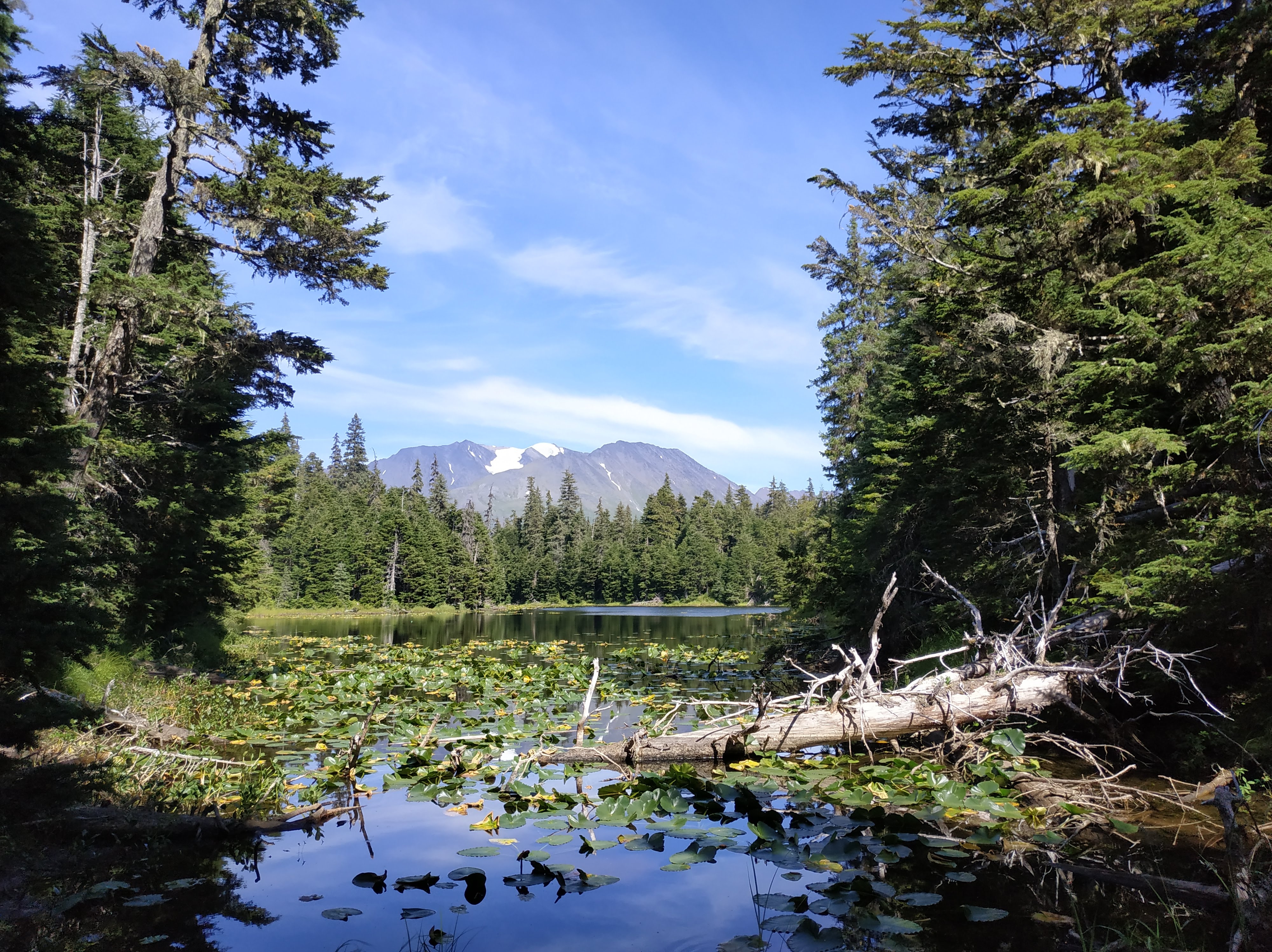 Lac Bear Creek, Montagnes Alaskaines