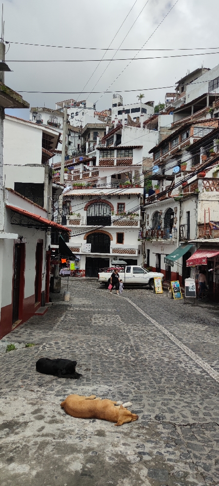 Mexique - Rue pavée à San Miguel de Allende