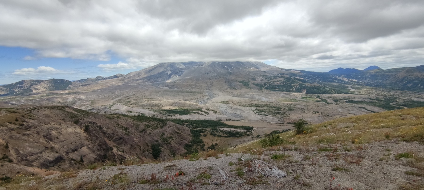 roadtrip USA juillet 2021 - Vue panoramique du mont St. Helens