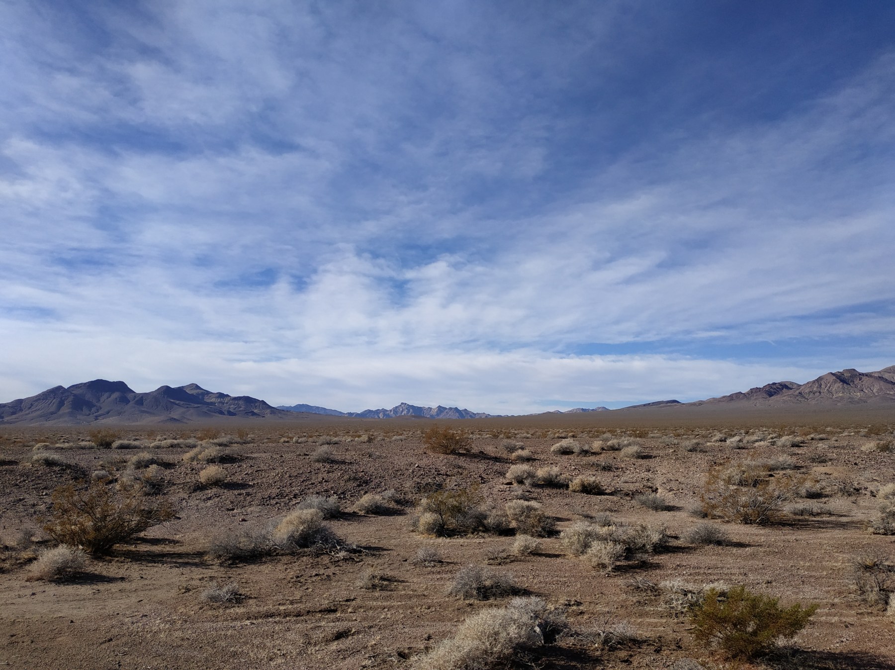 Roadtrip USA 2019 - Désert de Mojave, Arizona, USA