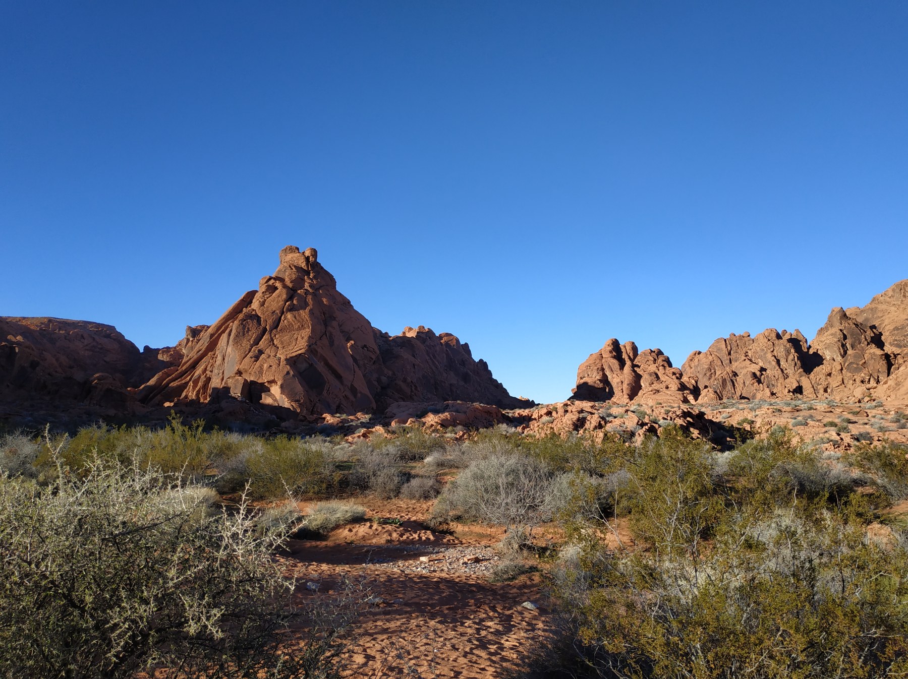 Roadtrip USA 2019 - Roches rouges de Red Rock Canyon, Nevada