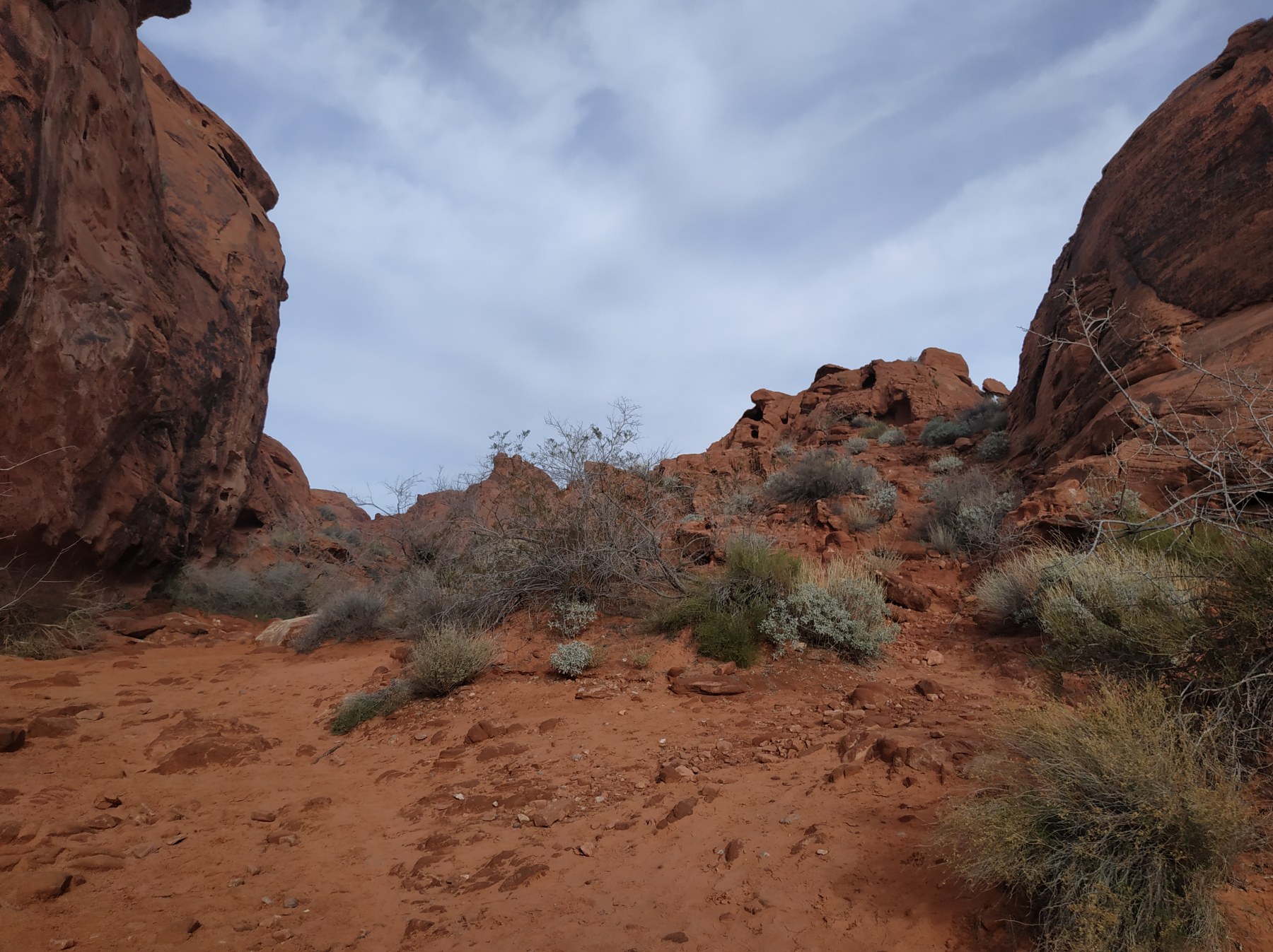 Roadtrip USA 2019 - Sentier dans les roches rouges de Arizona