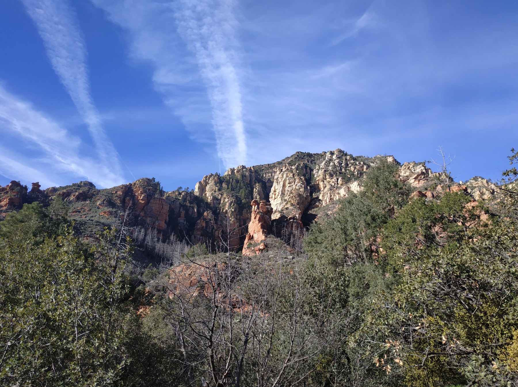 Roadtrip USA 2019 - Vue des falaises de Zion National Park