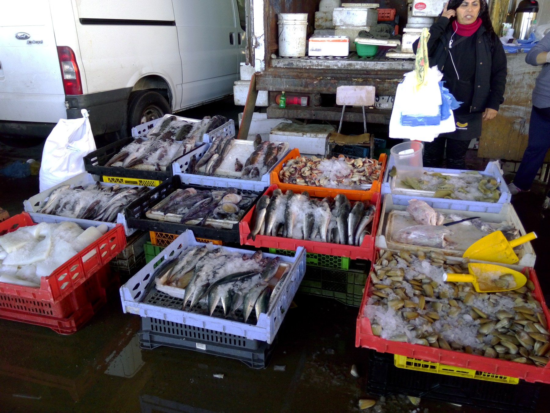 Marché de pêche à Punta Arenas