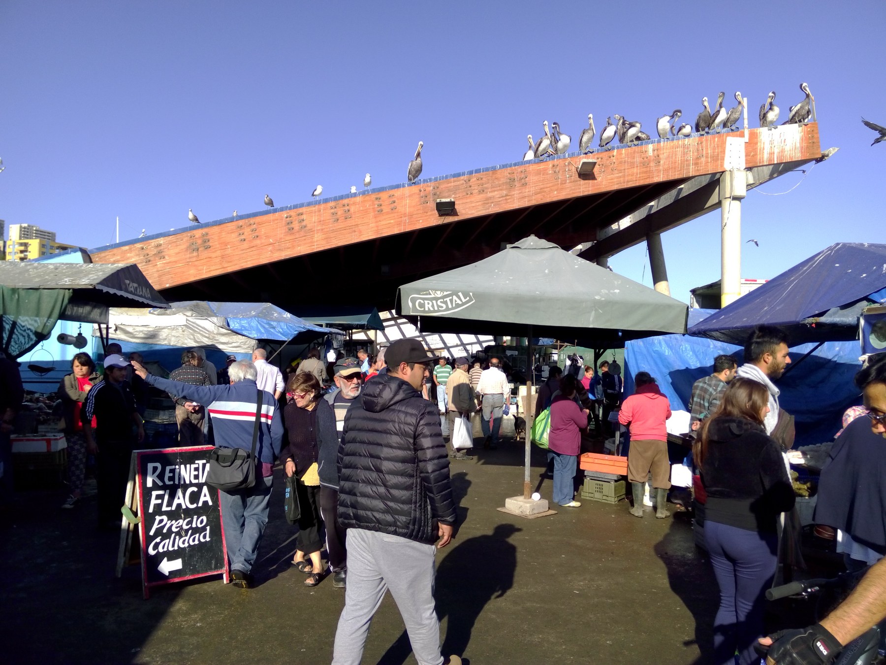Punta Arenas, Chili - Marché de Puerto Madryn