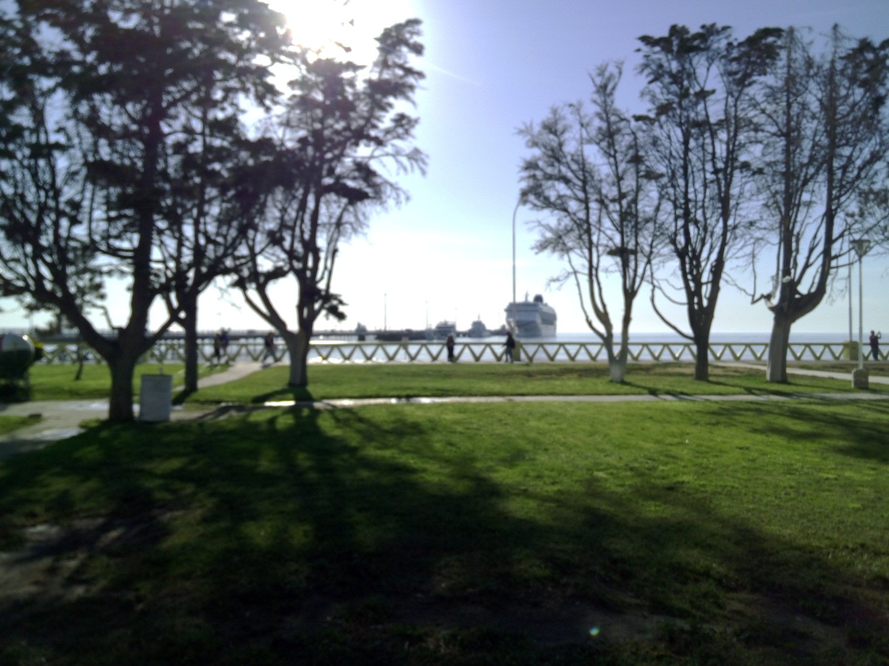 Port de Mar del Plata, Argentine