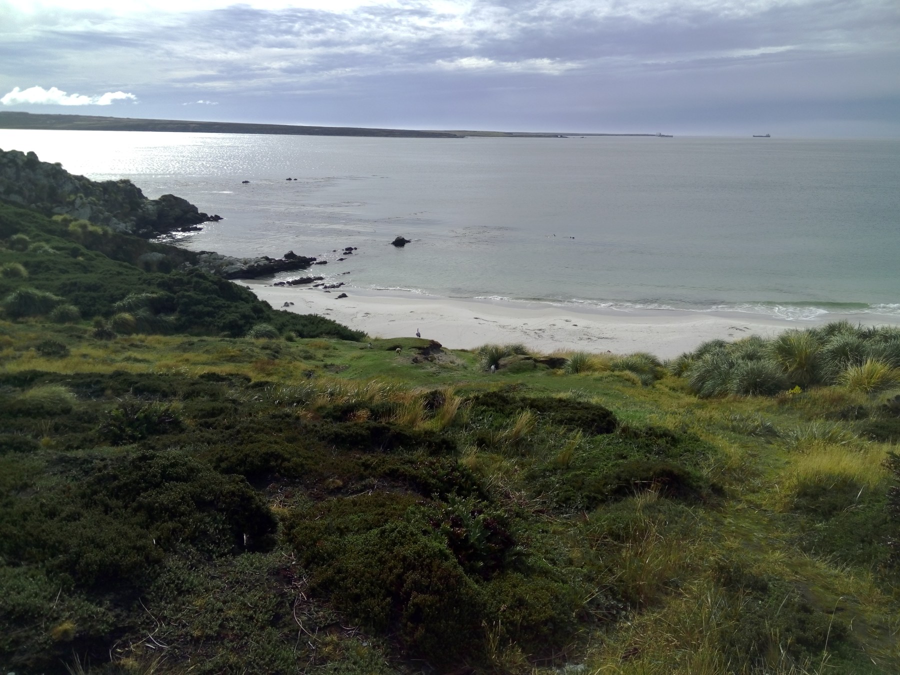 Plage de Stanley, île de Tierra del Fuego