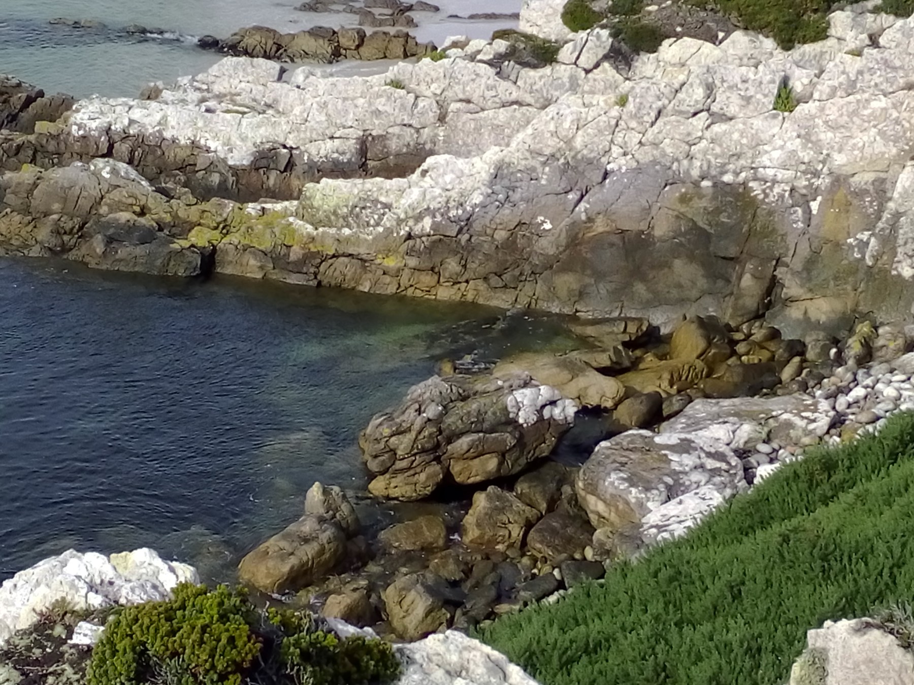 Punta del Este, Uruguay - Côte rocheuse de la Patagonie