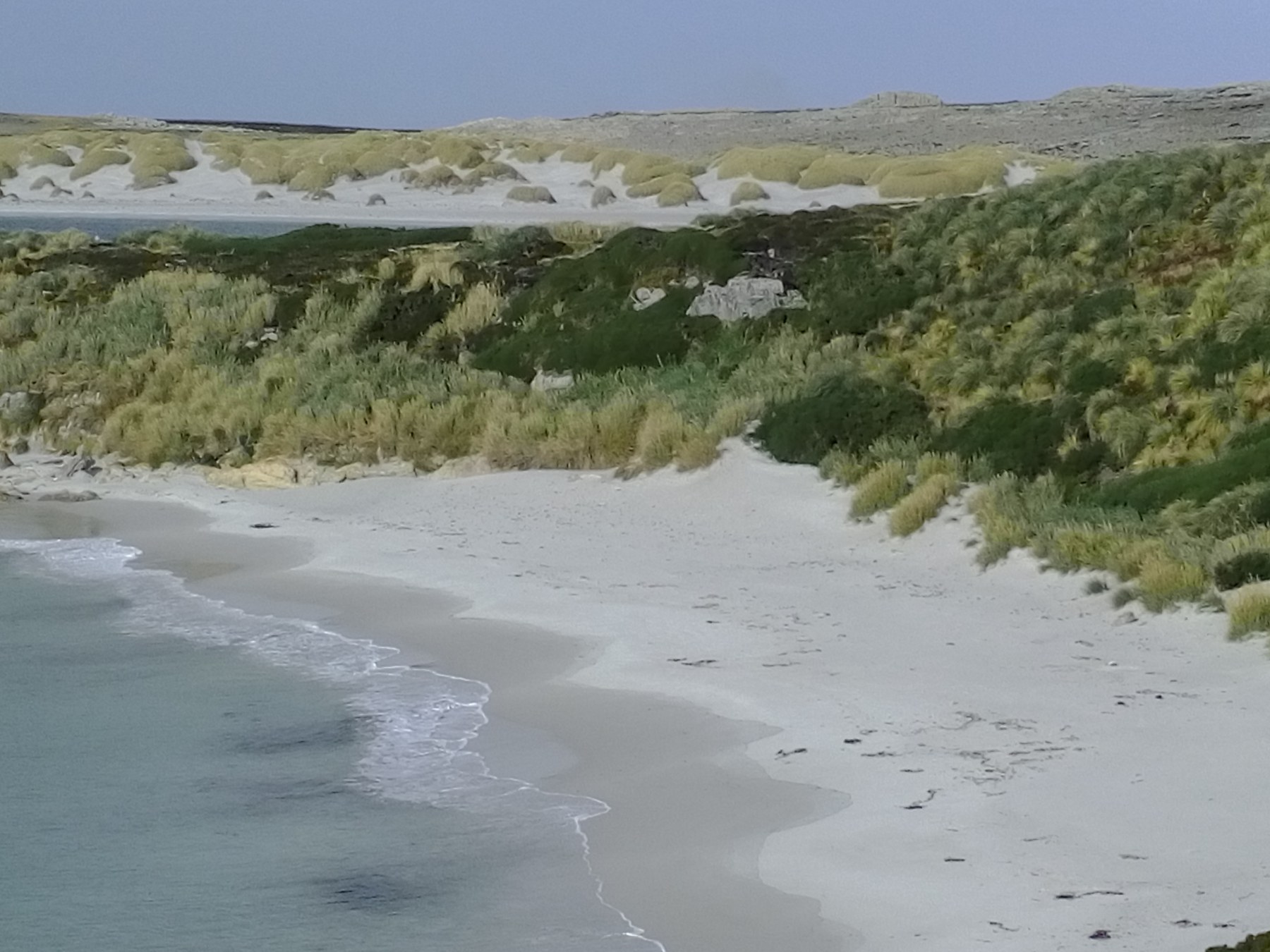 Plage de sable blanc en Patagonie