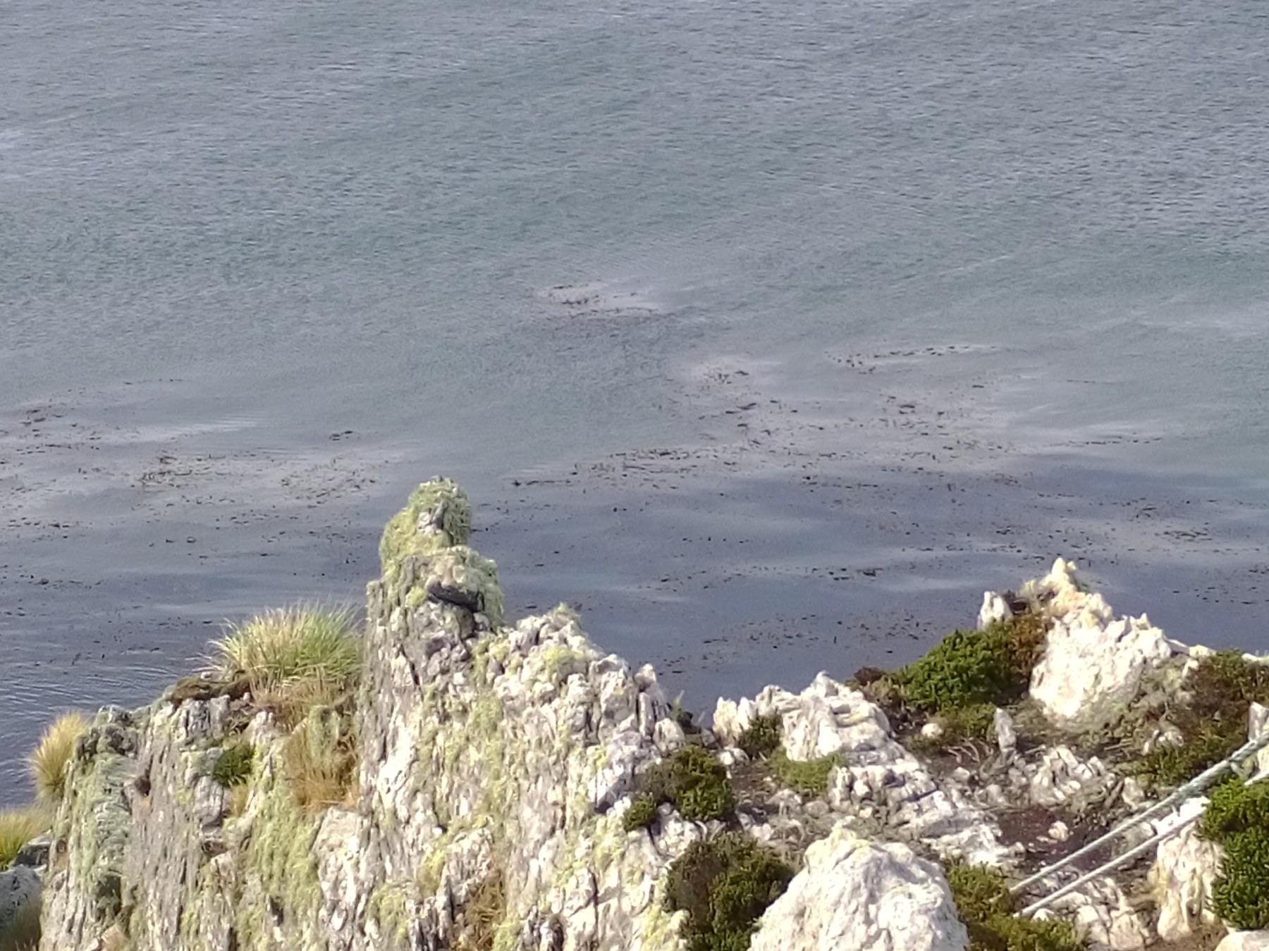 Côte rocheuse de la Patagonie - Falaises de Punta del Este