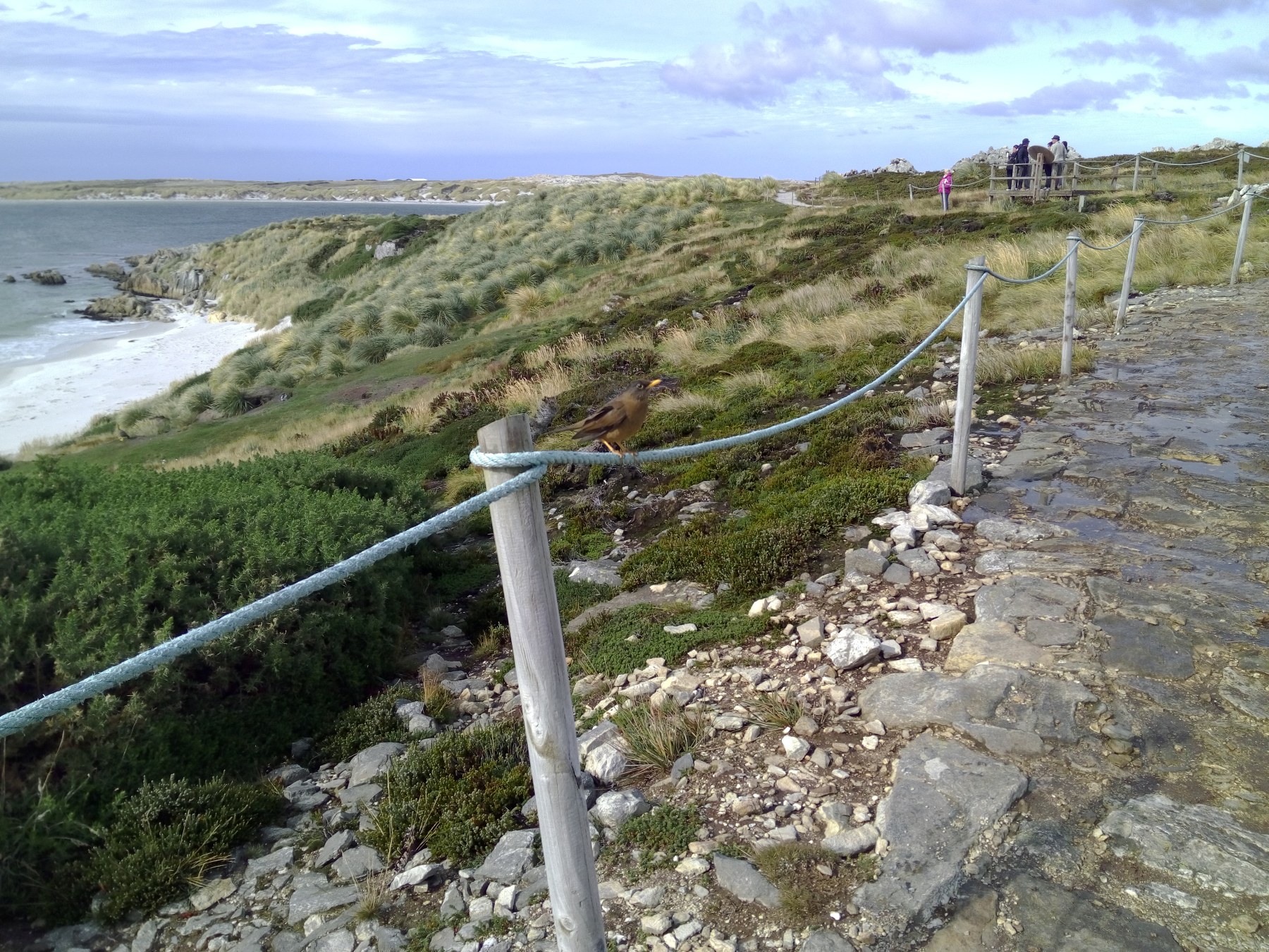 Sentier côtier à Punta del Horno