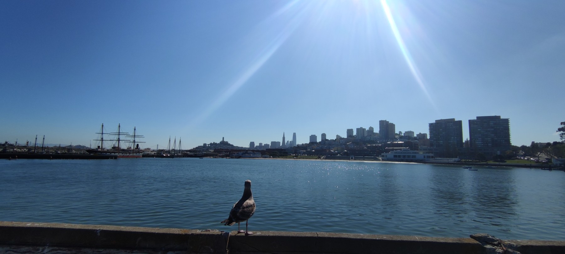 Vue du port de San Francisco, USA