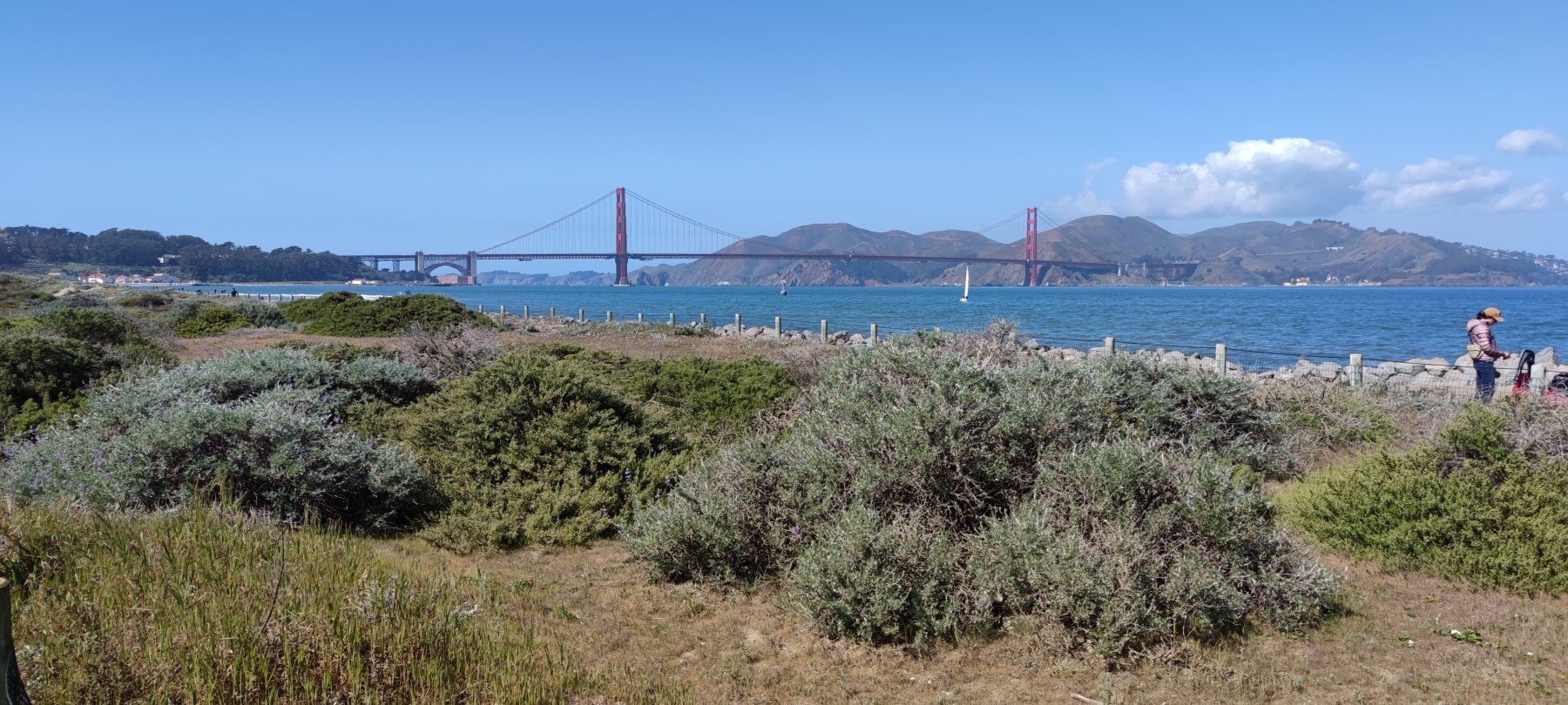 Vue du Golden Gate Bridge depuis Crook Street, San Francisco
