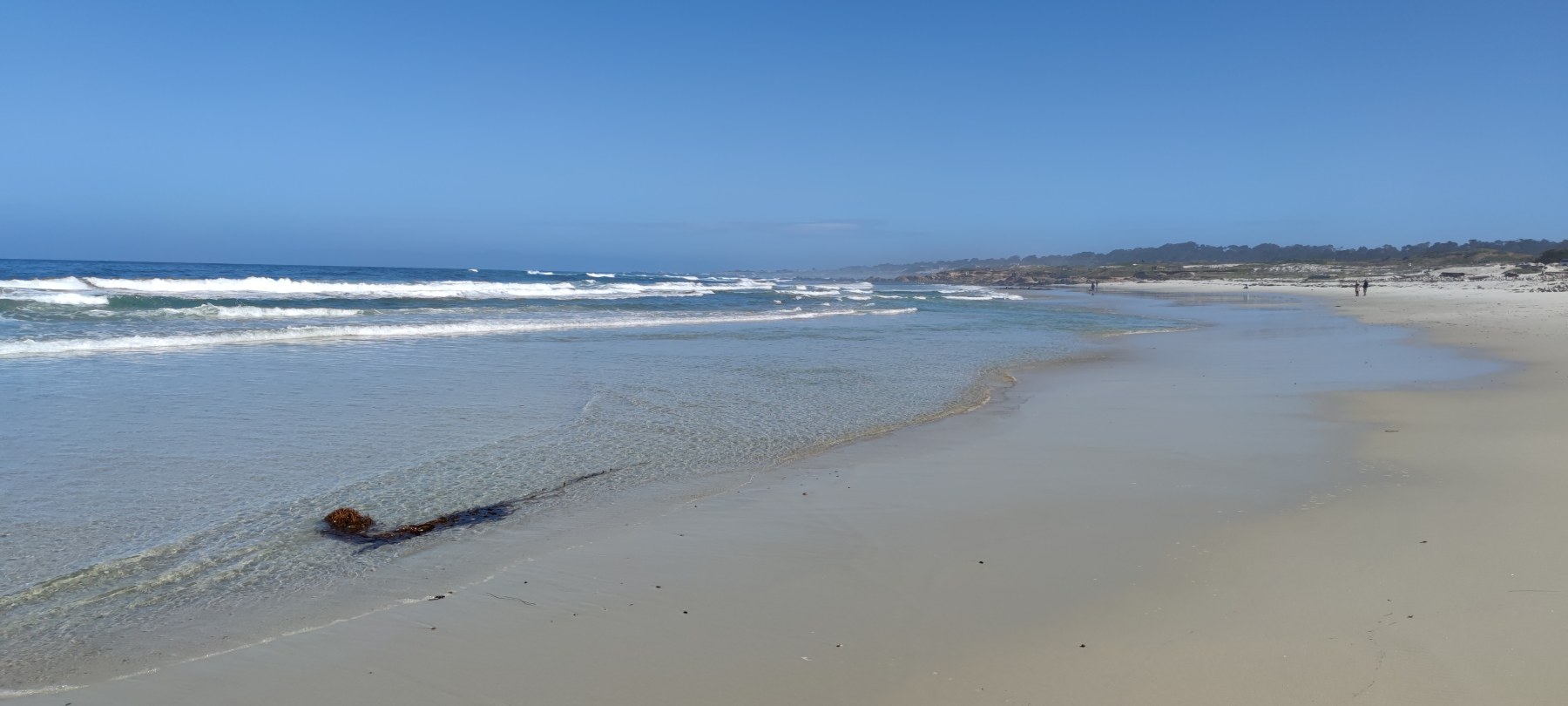Plage de Pfeiffer Big Sur, Californie