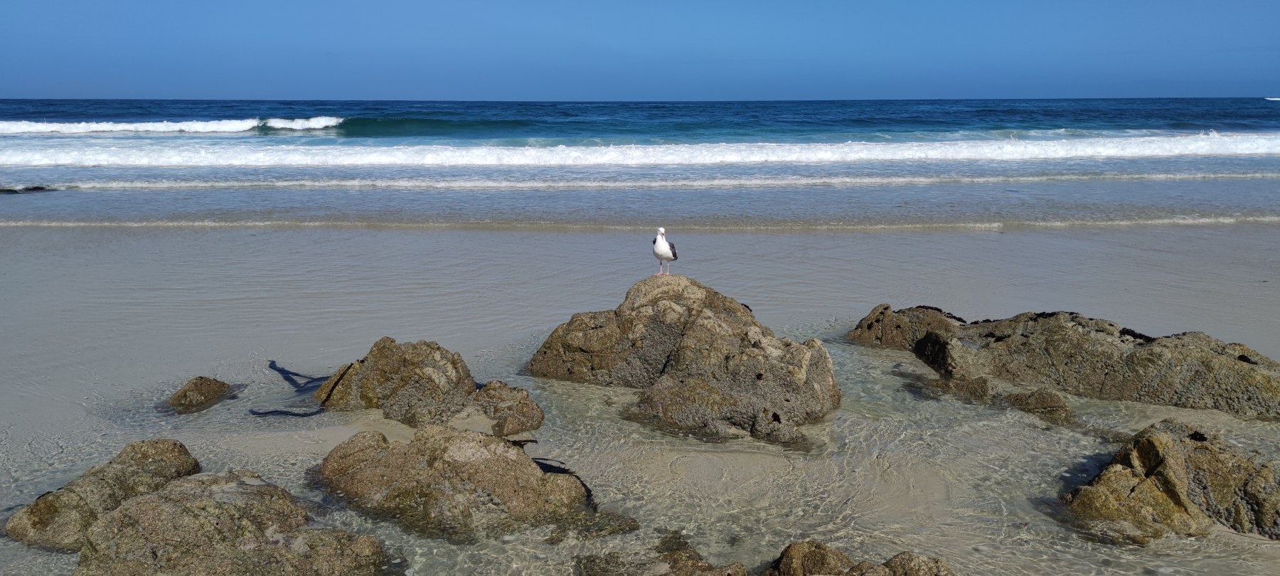 Goose Rocks Beach, Pacific Grove