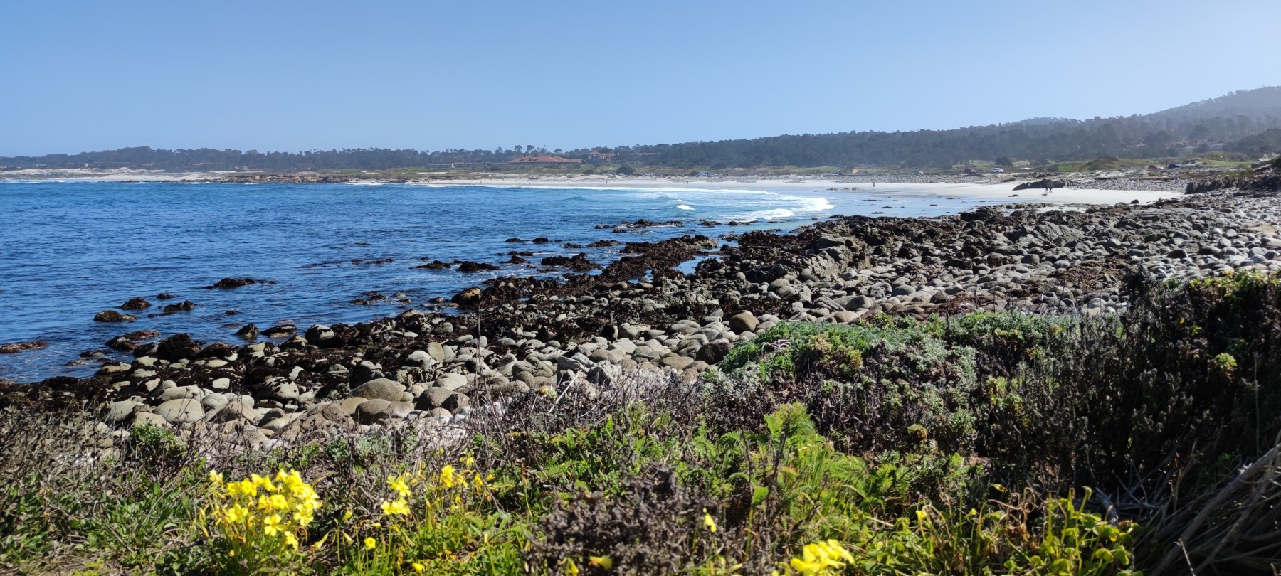 Plage de Pfeiffer Big Sur, Californie