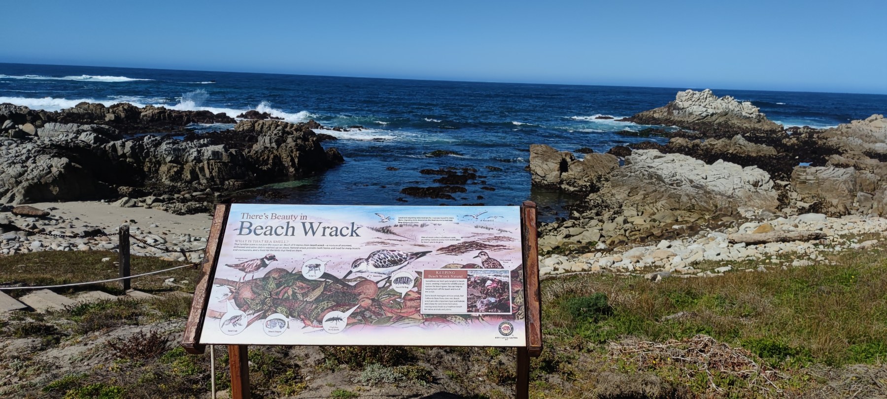 Panonceau sur les débris de plage, Californie