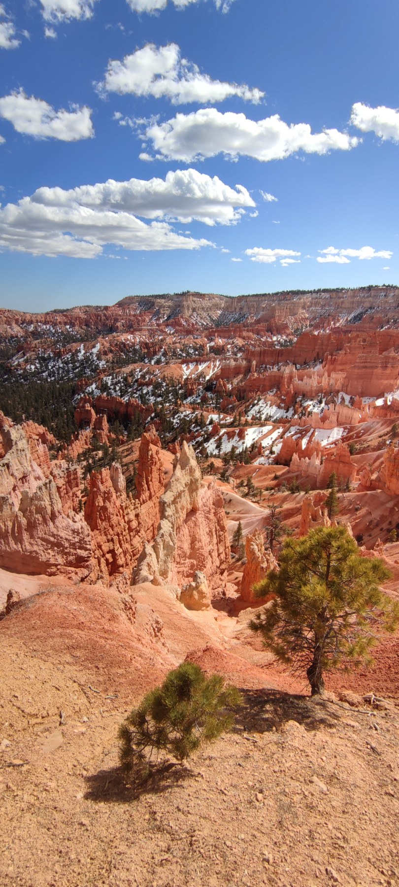 Vue panoramique de Bryce Canyon, Utah, USA