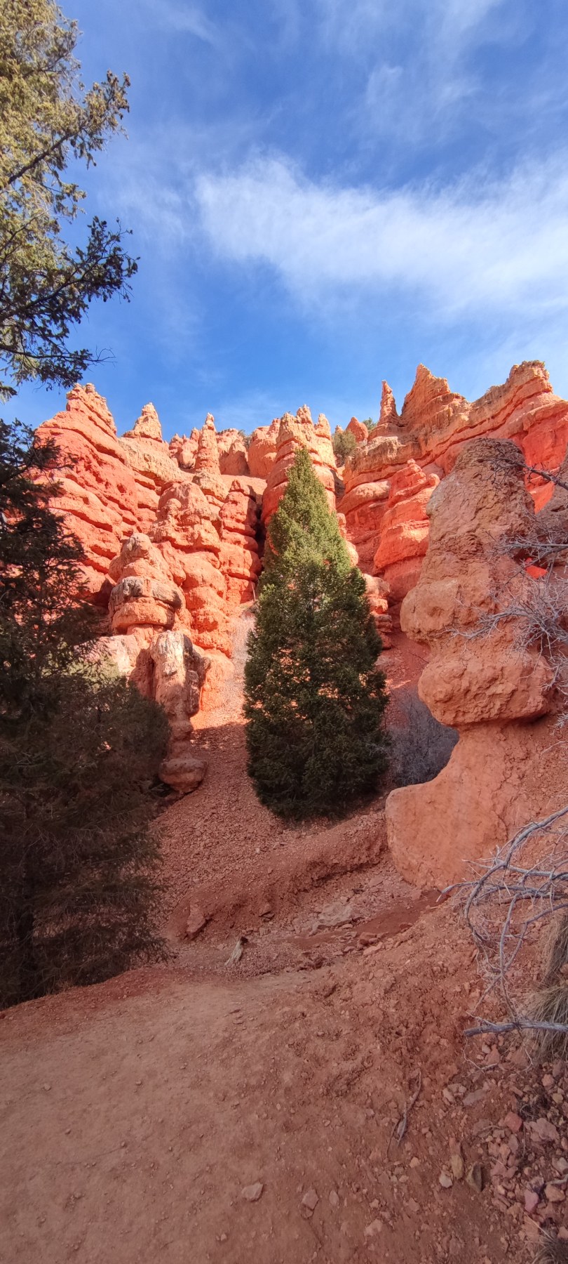 Sentier dans les formations rouges de Bryce Canyon