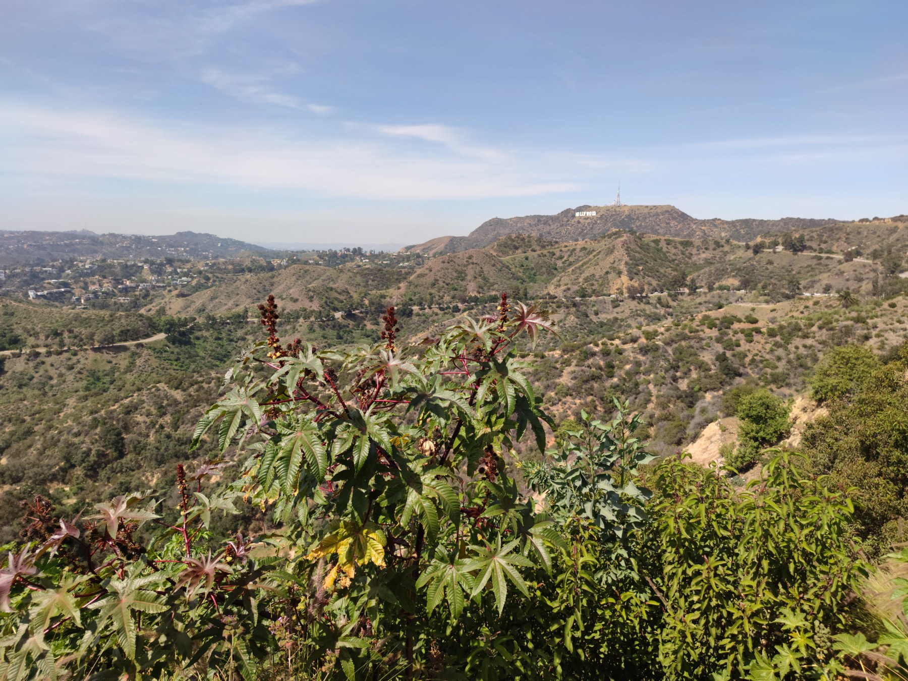 Hollywood Sign, Los Angeles, CA