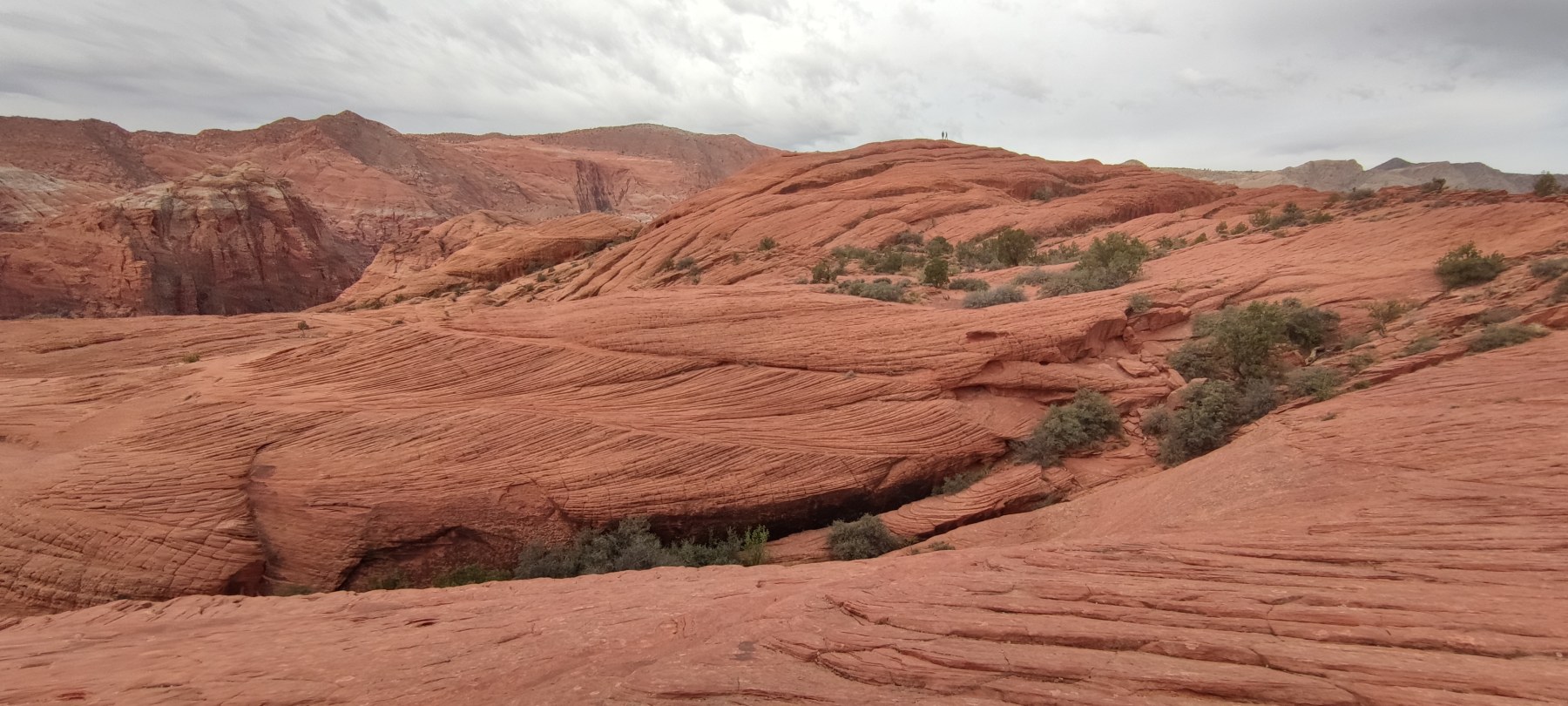 Dunes rouges de Red Rock, Californie
