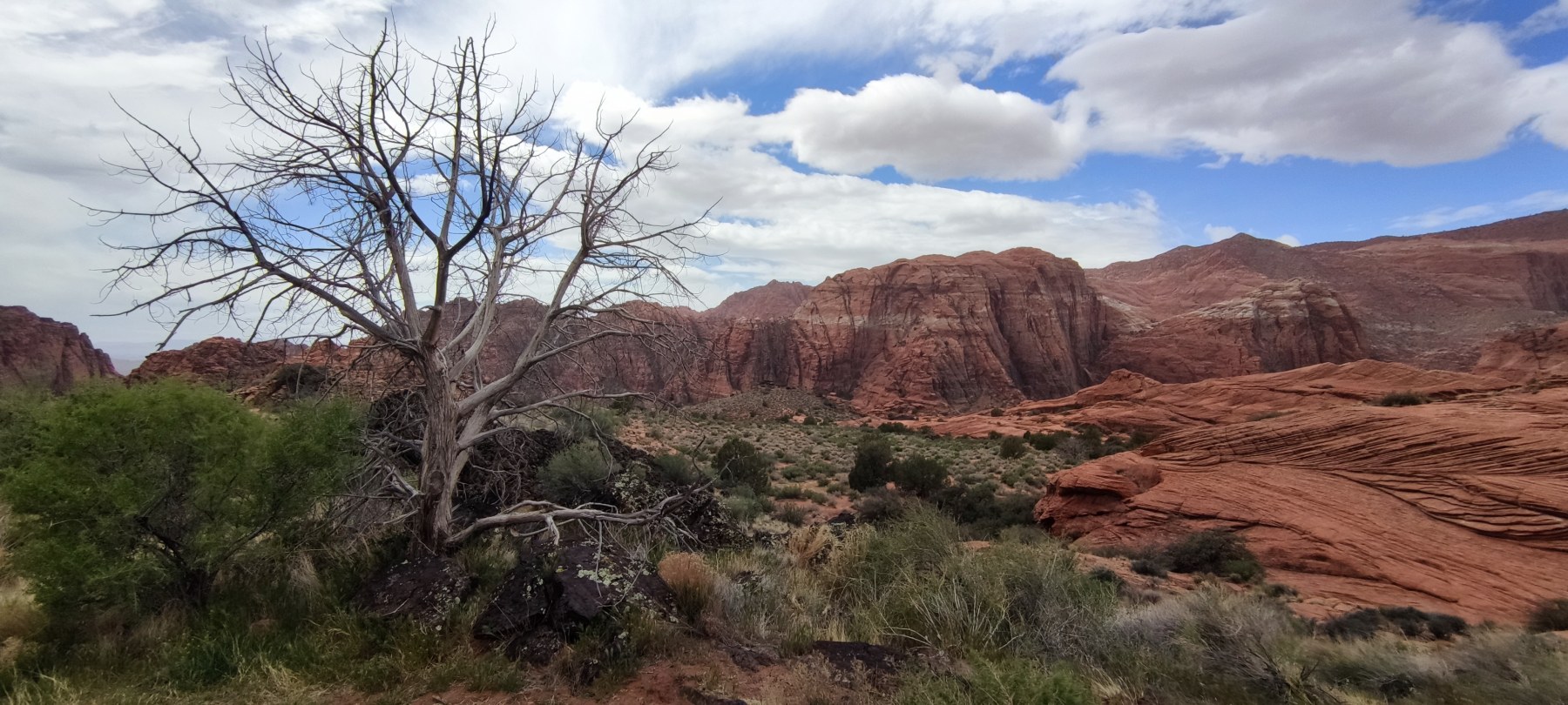 Falaises rouges de Moab, Utah