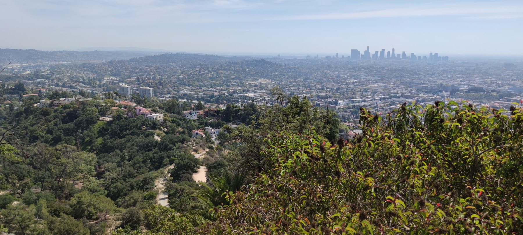 Vue de Los Angeles depuis Griffith Park