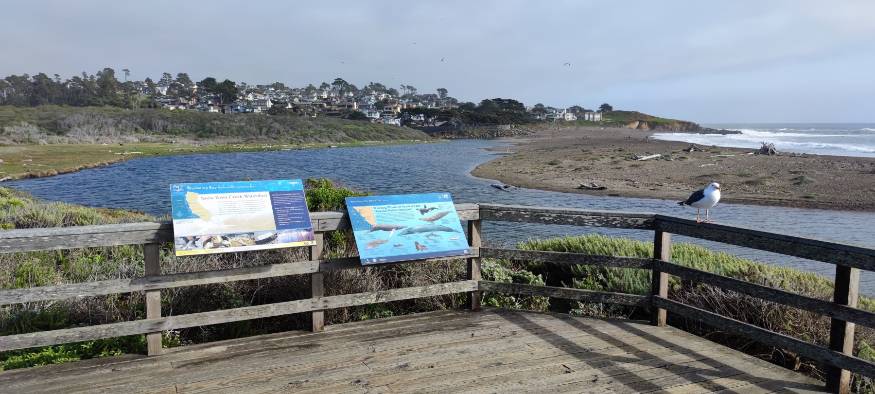 Santa Rosa Creek, Monterey Bay
