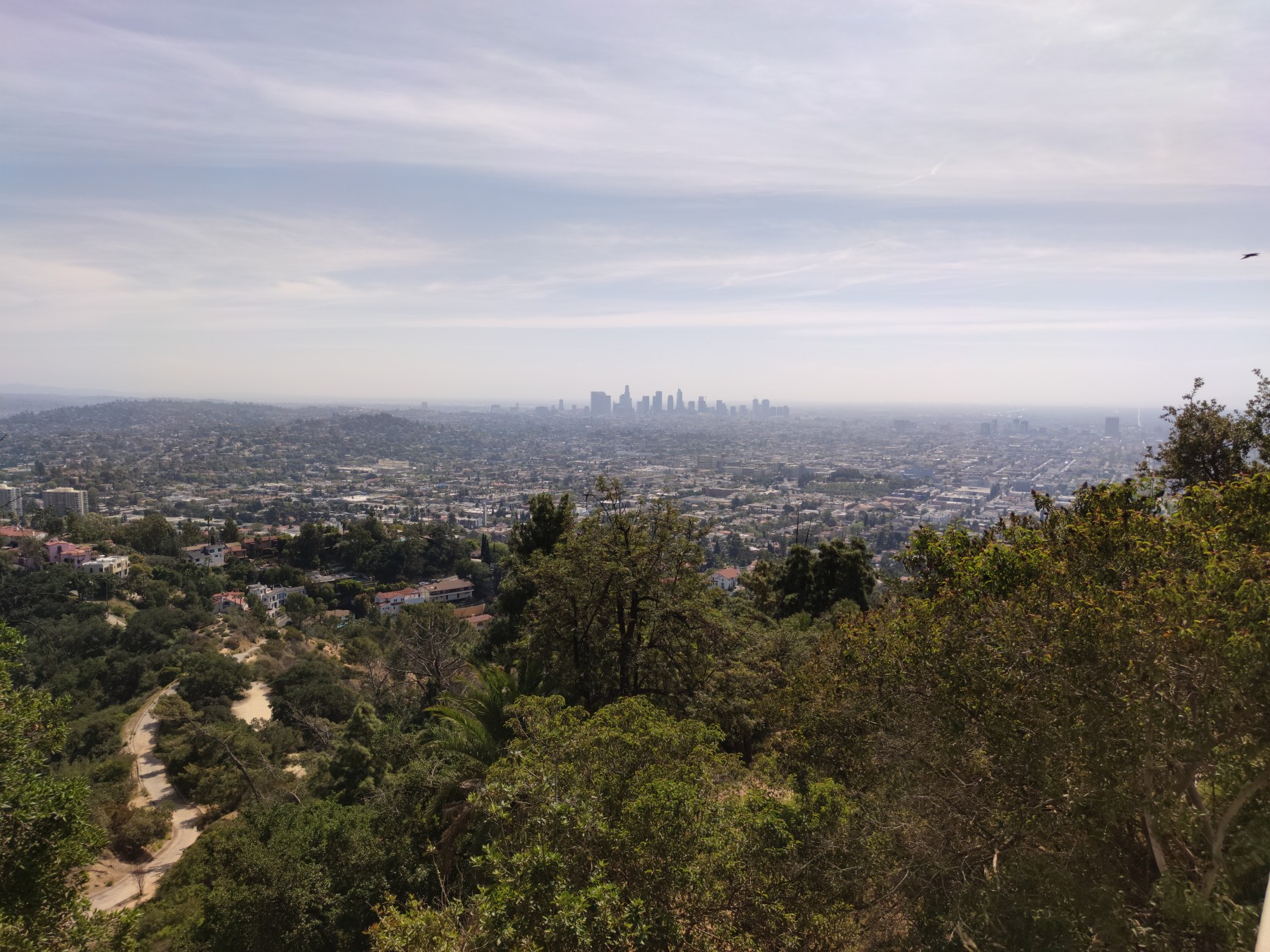 Vue de Los Angeles depuis Griffith Park