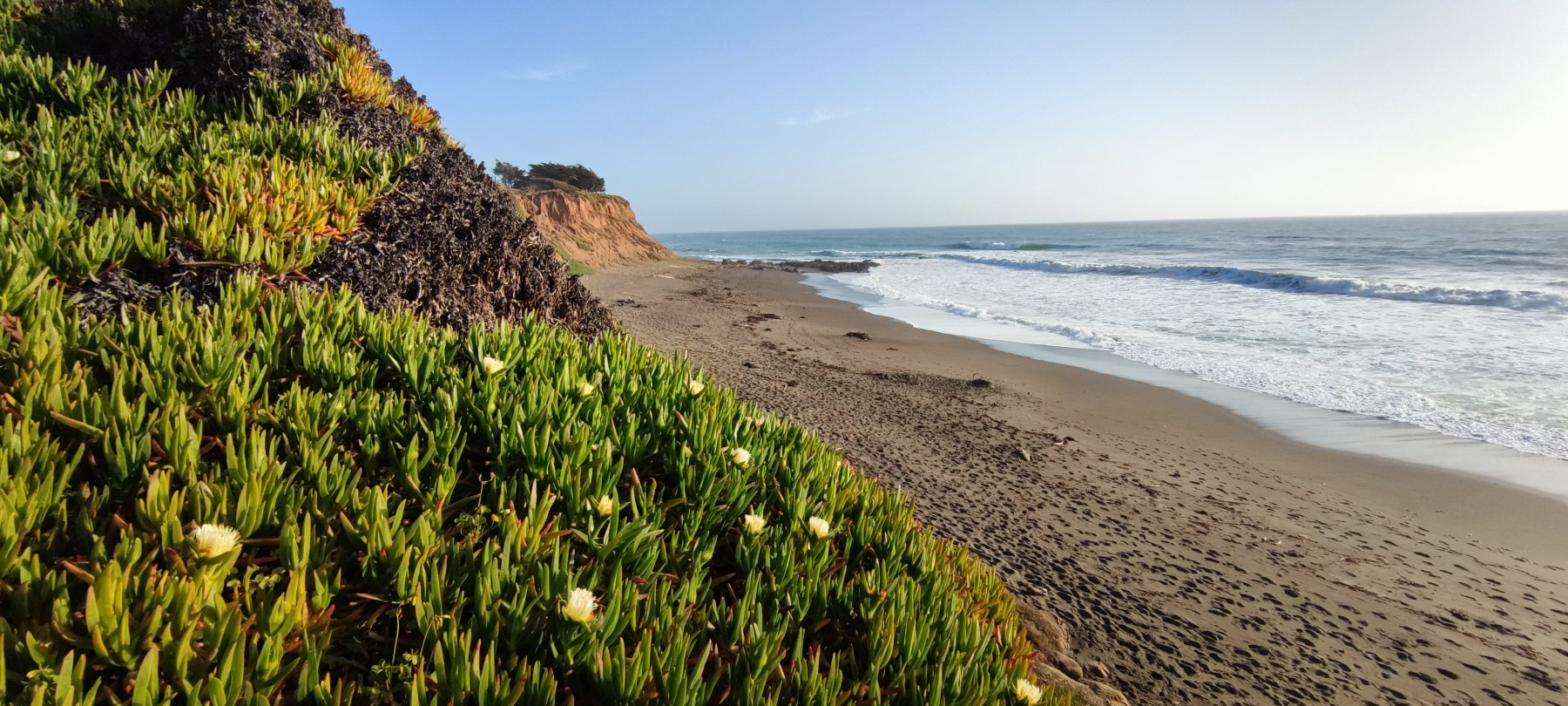 Plage sauvage de Big Sur, Californie