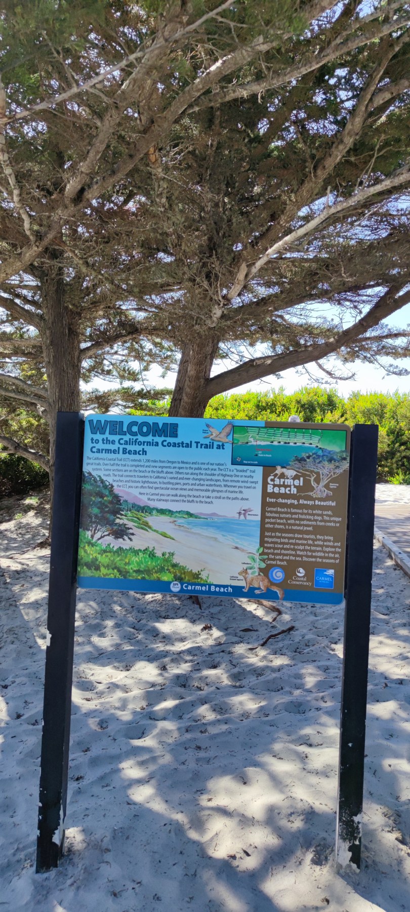 Accueil du sentier côtier à Carmel Beach