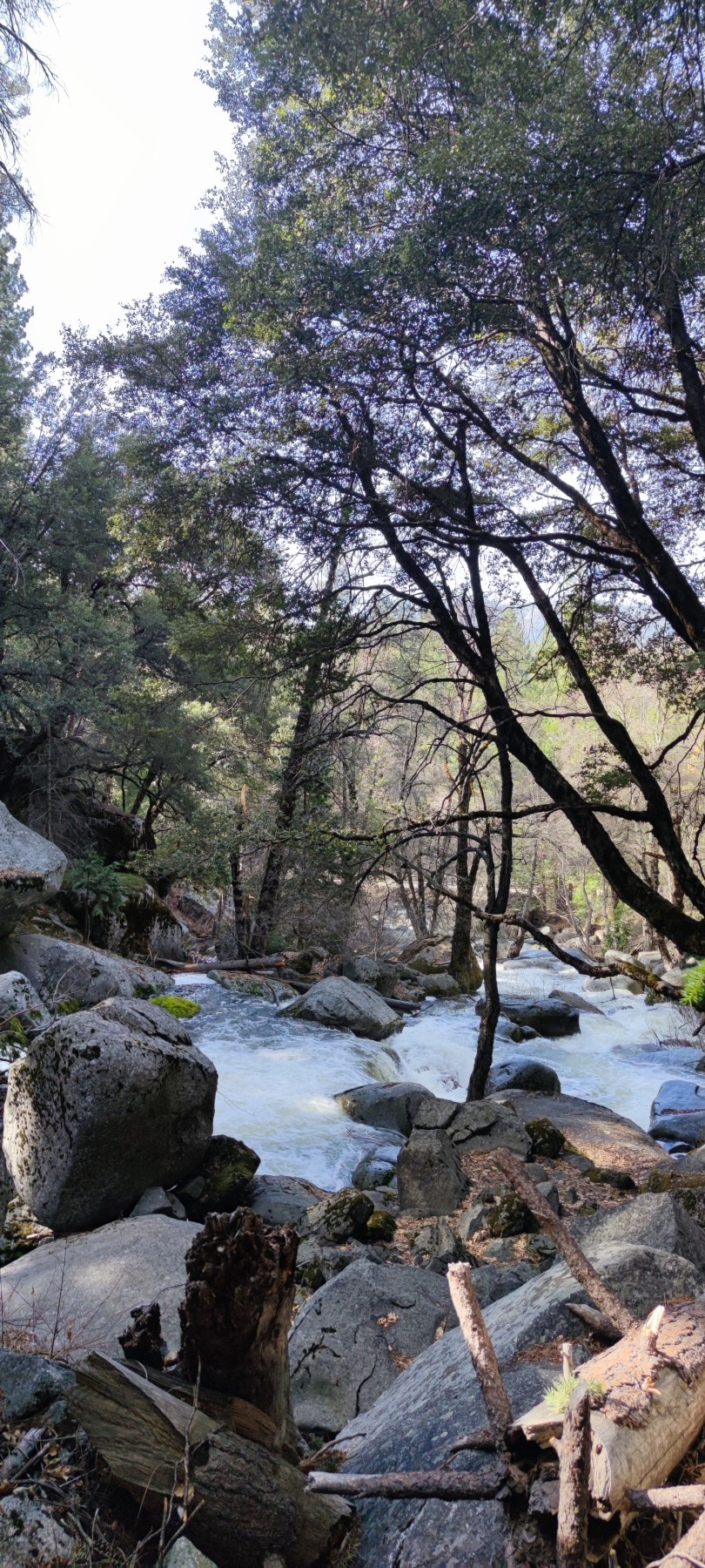 Rapides de Merced, Yosemite