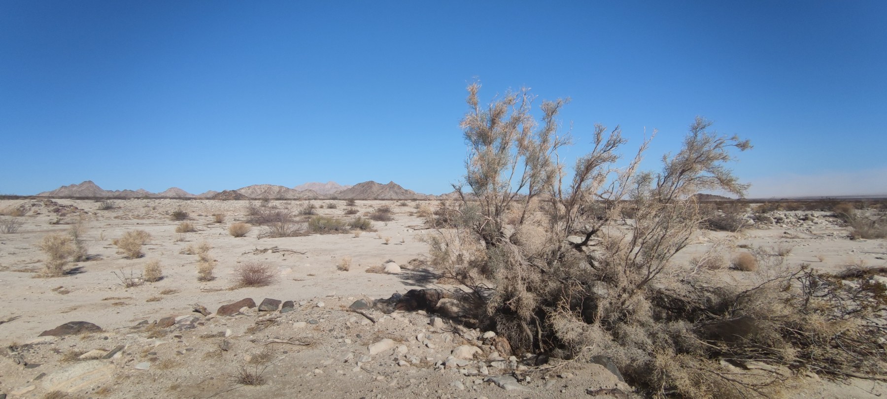 Désert de Mojave, Californie