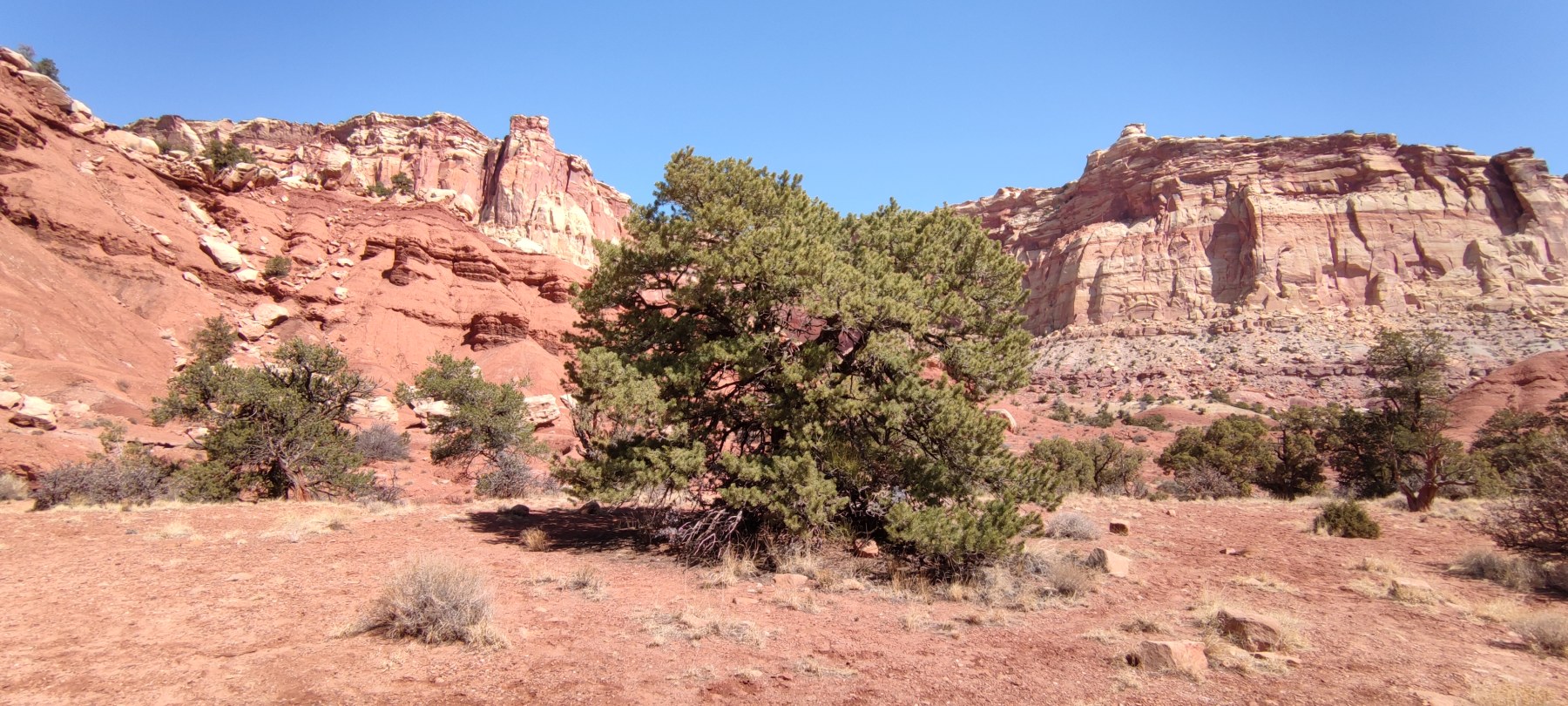 Roches rouges du parc national de Capitol Reef, Utah