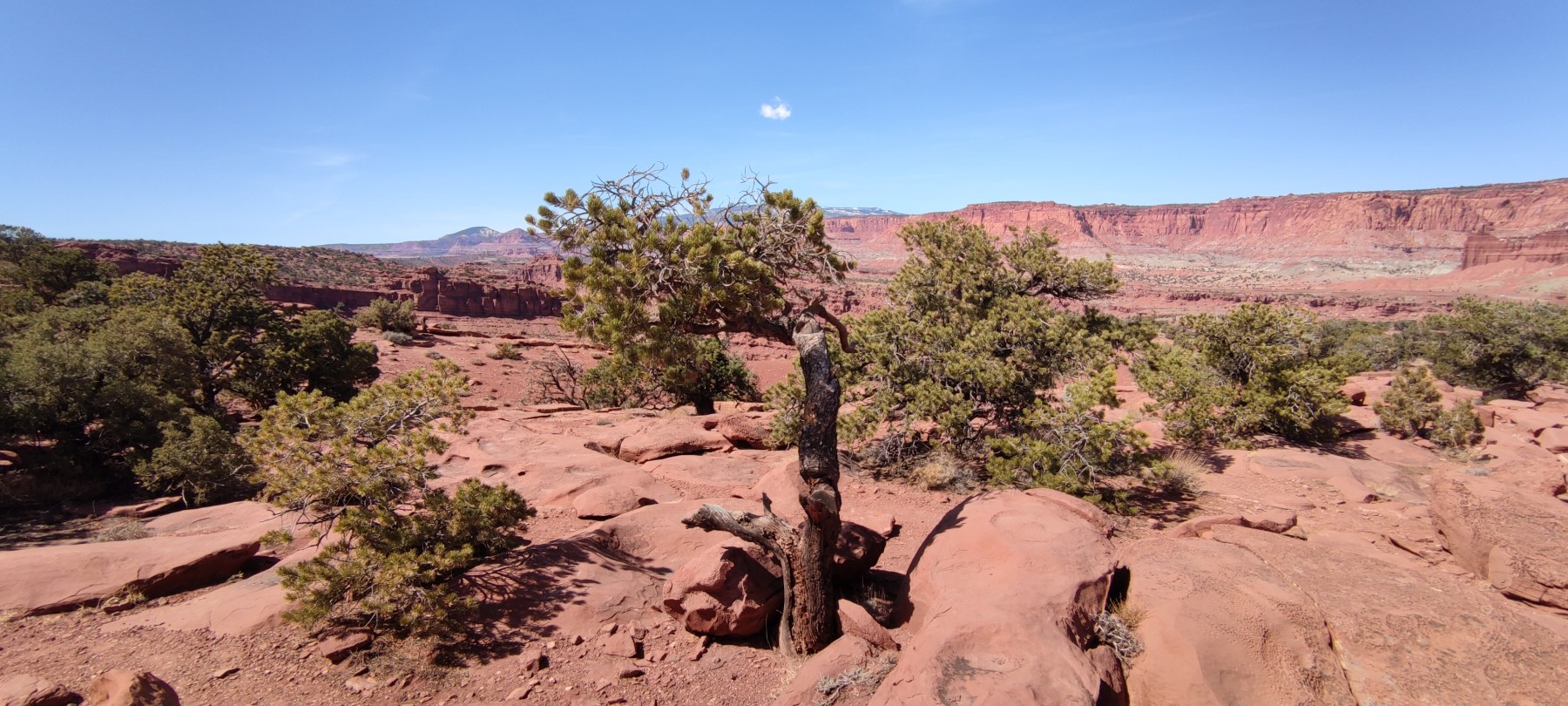 Canyon rouge de Utah, vue panoramique