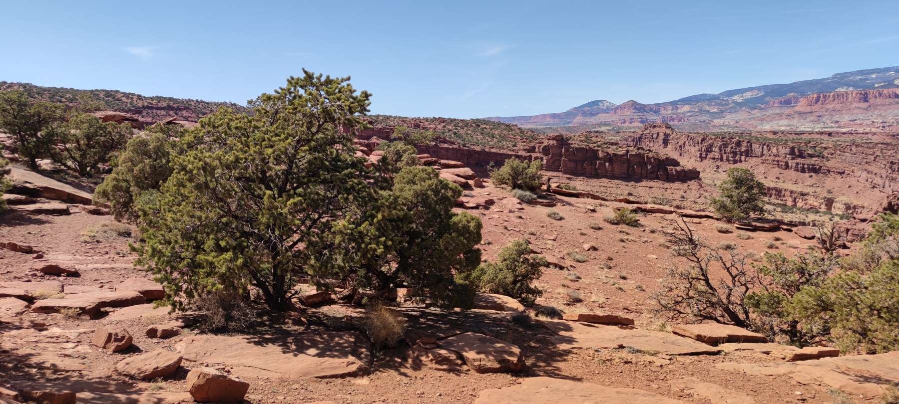 Canyon rouge au sud de Moab, USA