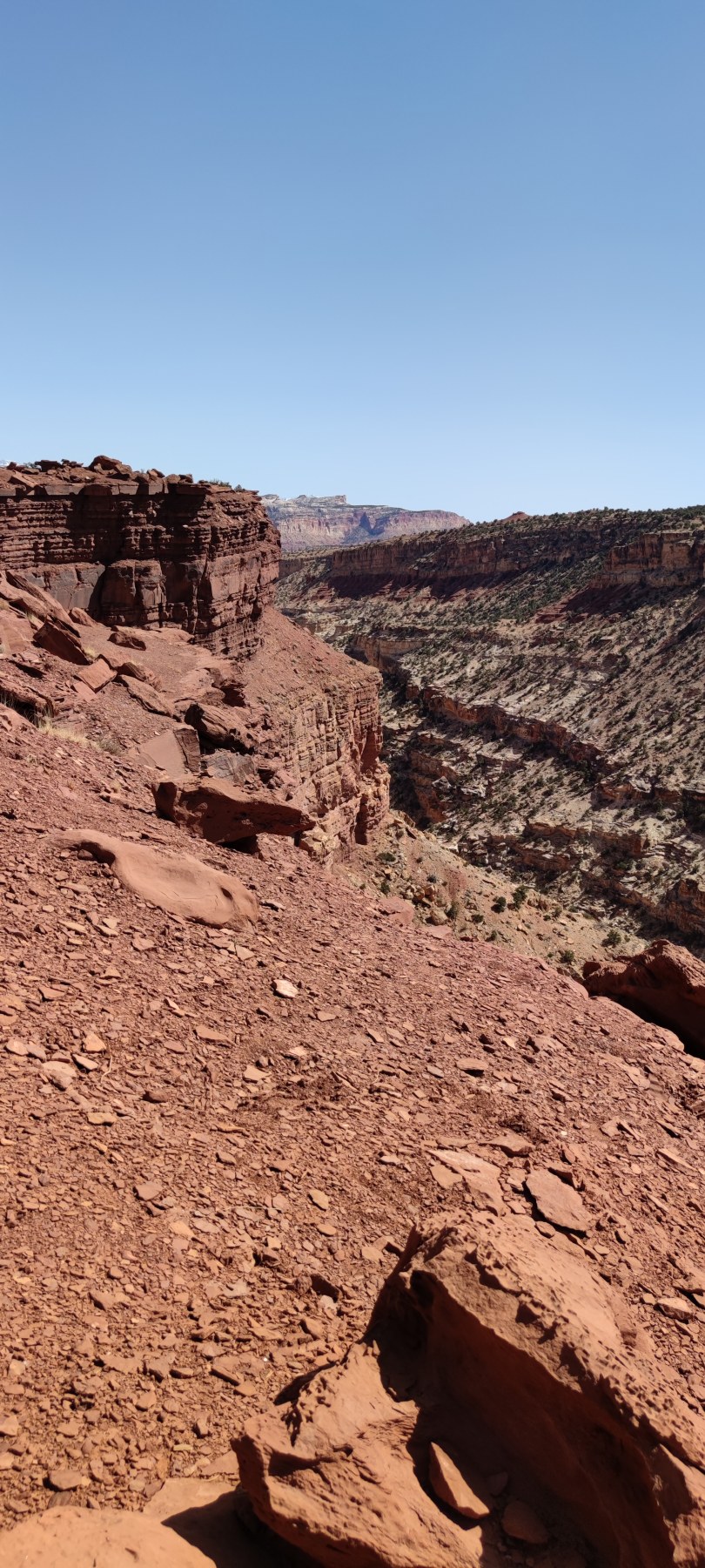 Canyon rouge en Californie, vue panoramique