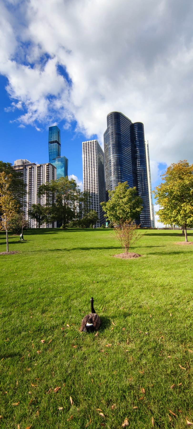 Grande Prairie Urbaine à Chicago