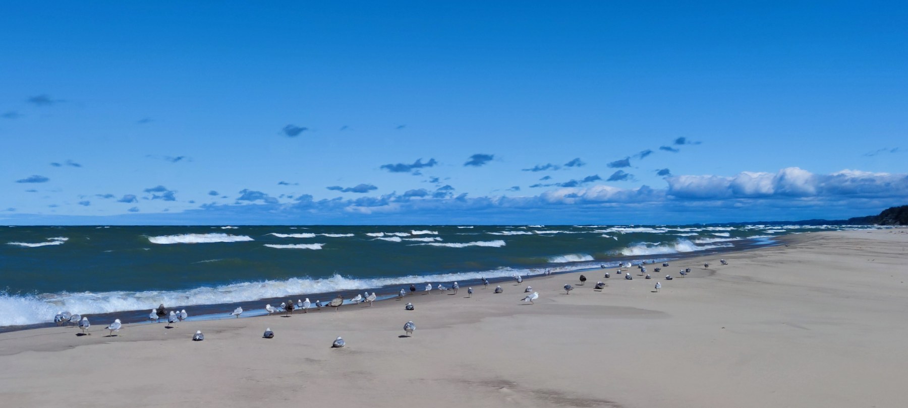 Plage de Lake Michigan, Michigan, USA