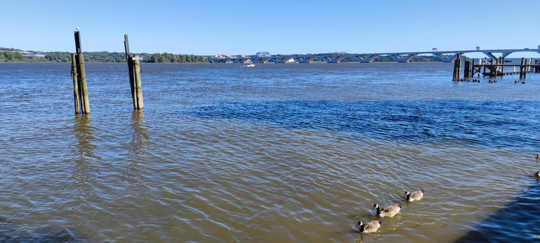 Pont de Washington DC, vue depuis le Potomac