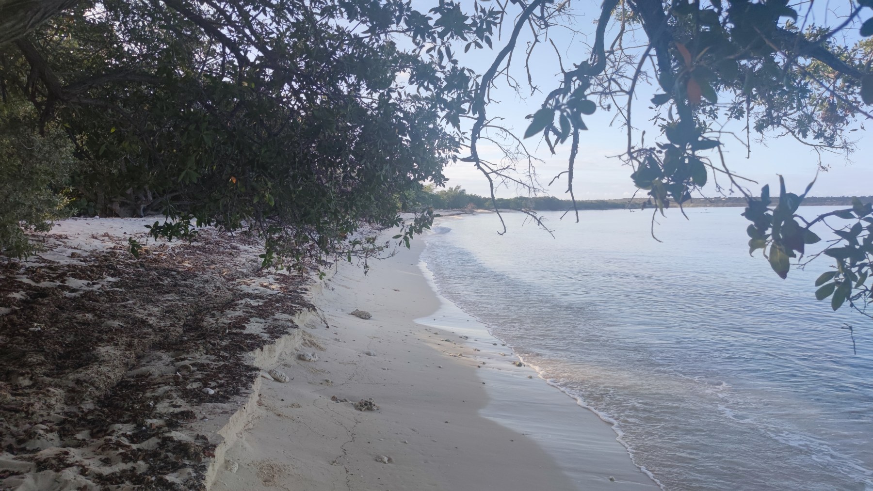 Pedernales, République dominicaine / Golfe du Mexique, Floride / Cozumel, Mexiq... - Plag...