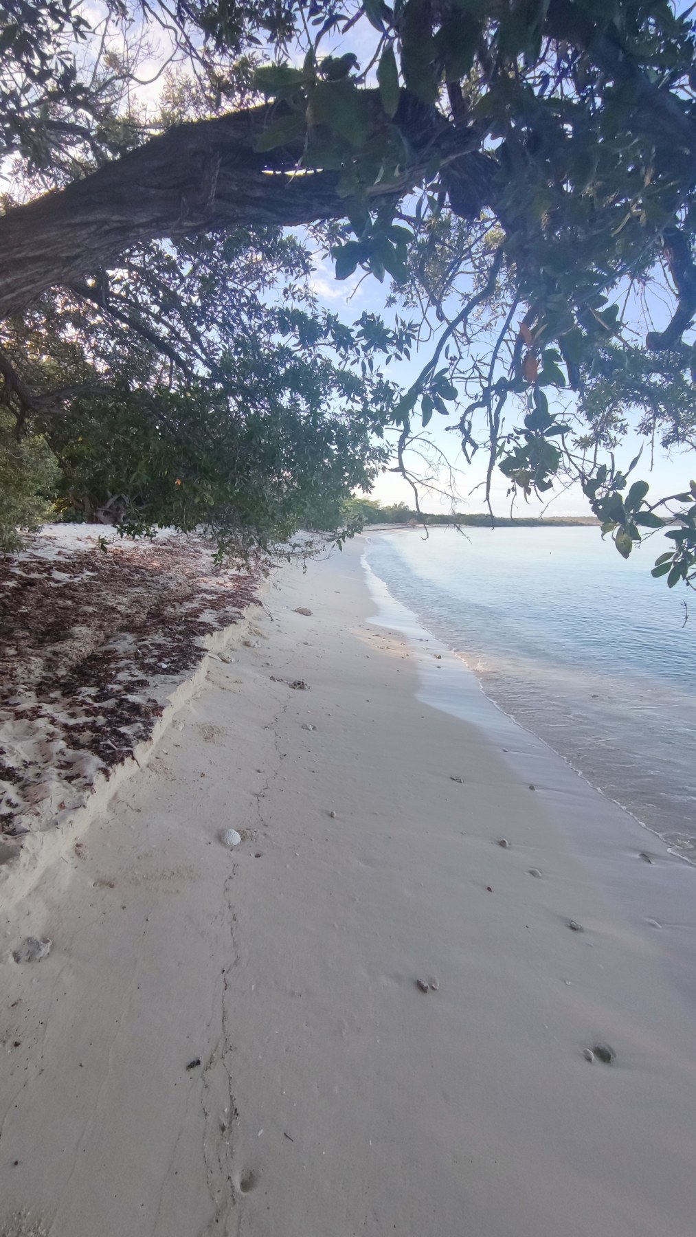Plage sauvage de Pedernales