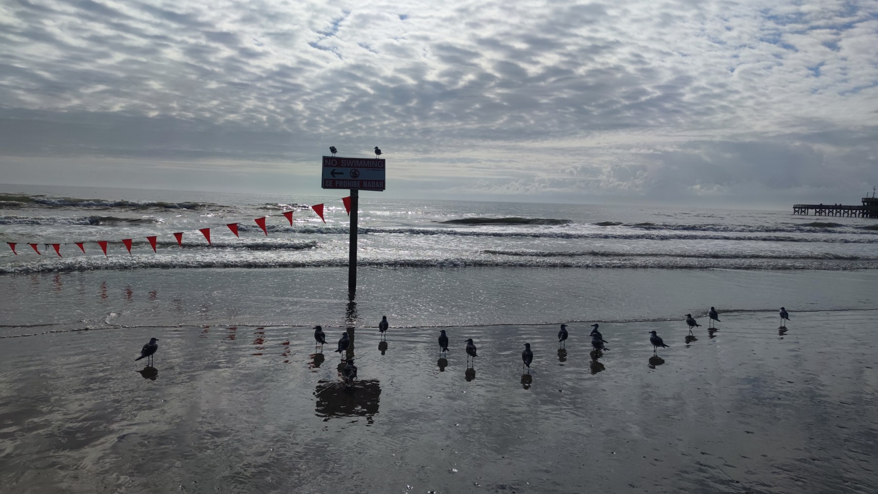 Plage de Galveston, Texas