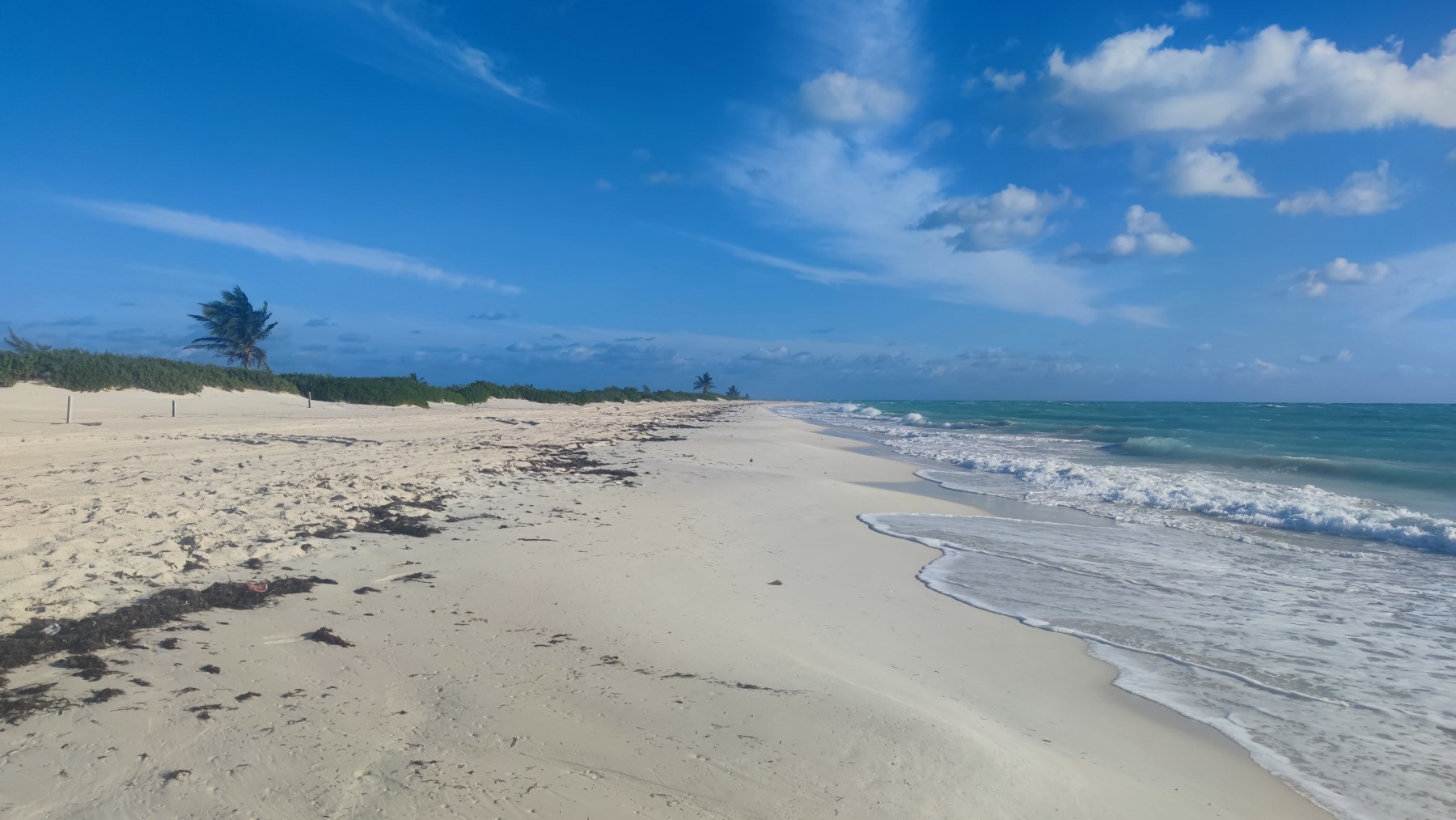 Plage sauvage du Golfe du Mexique