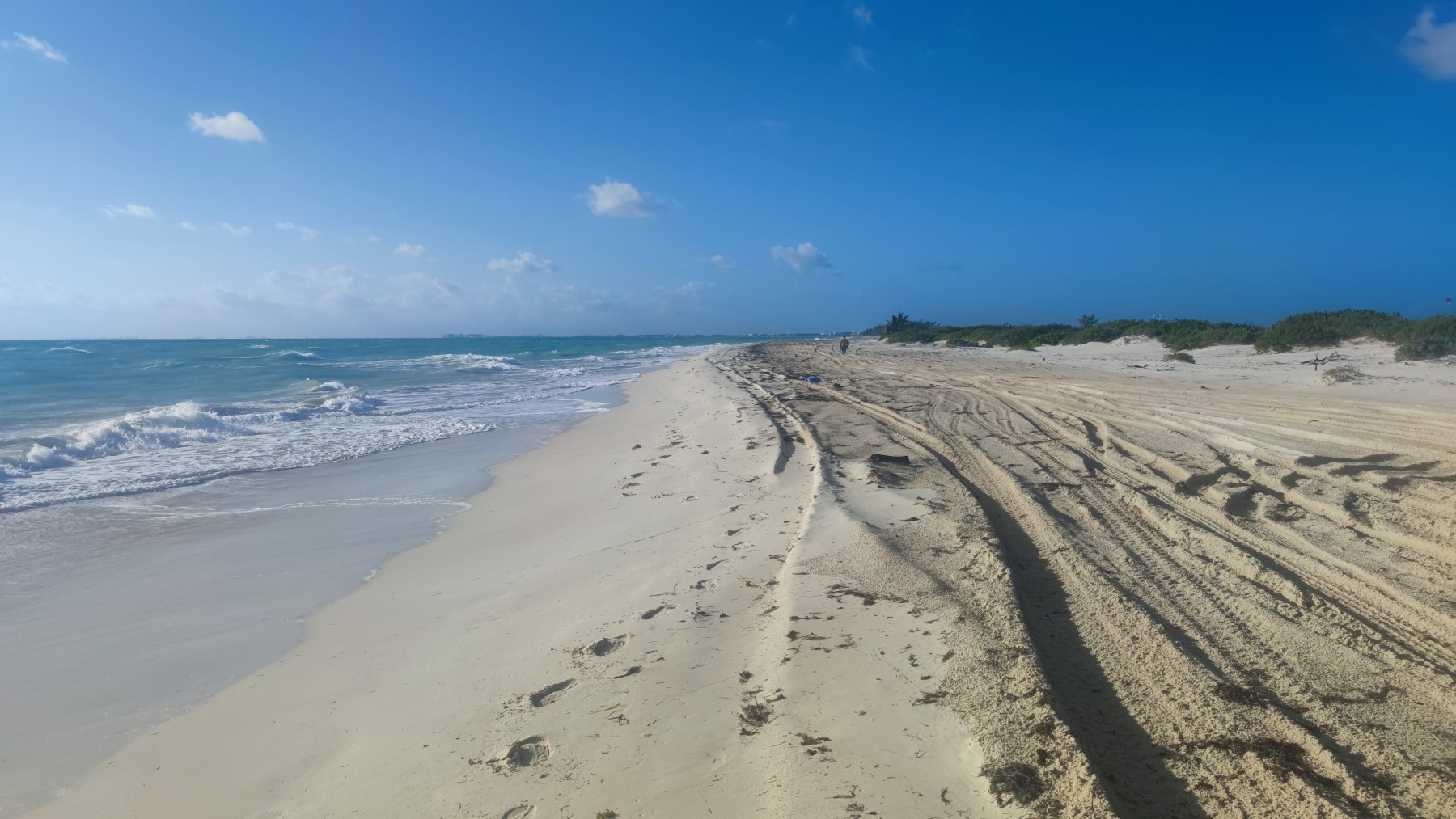 Plage sauvage du Golfe du Mexique