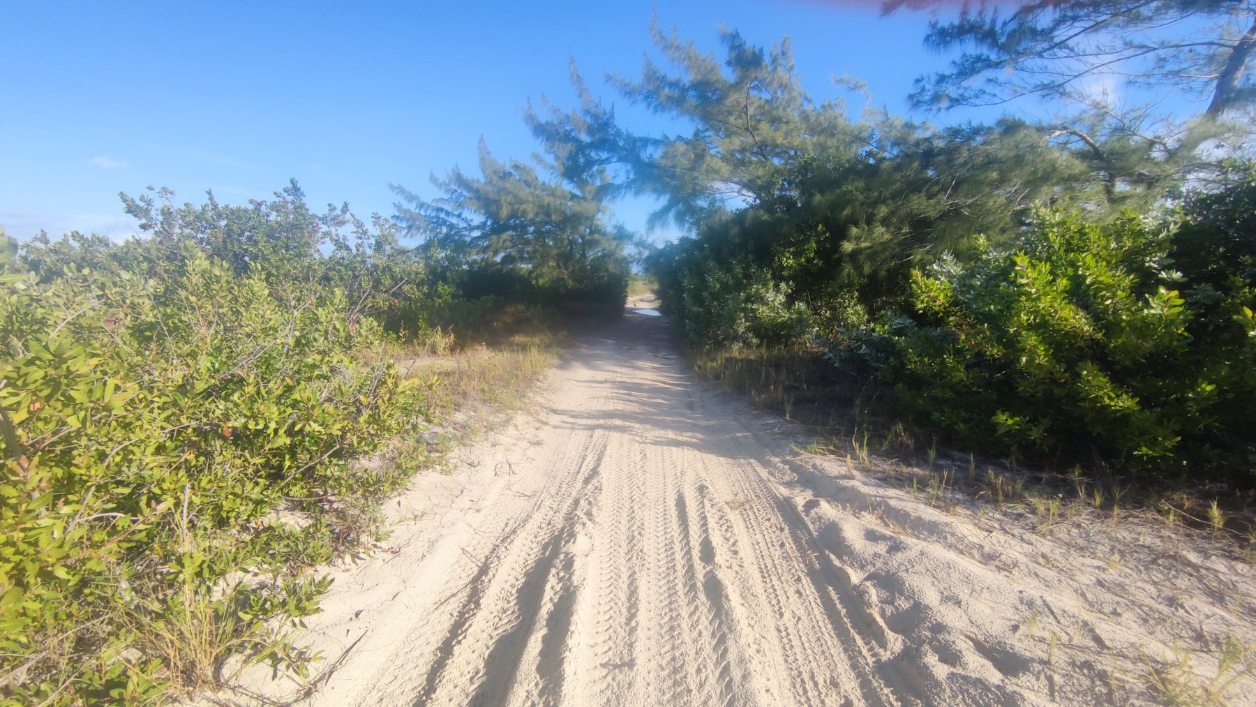 Sentier de sable au bord de la mer