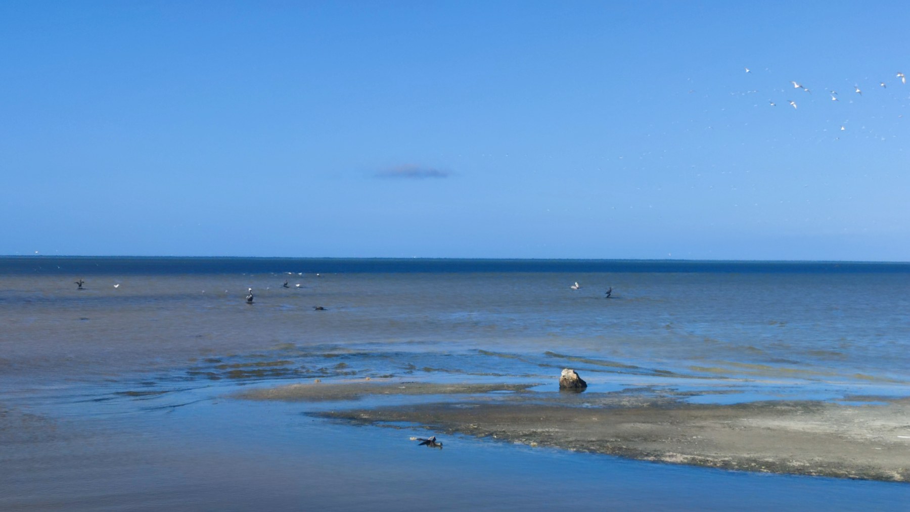 Plage du Golfe du Mexique
