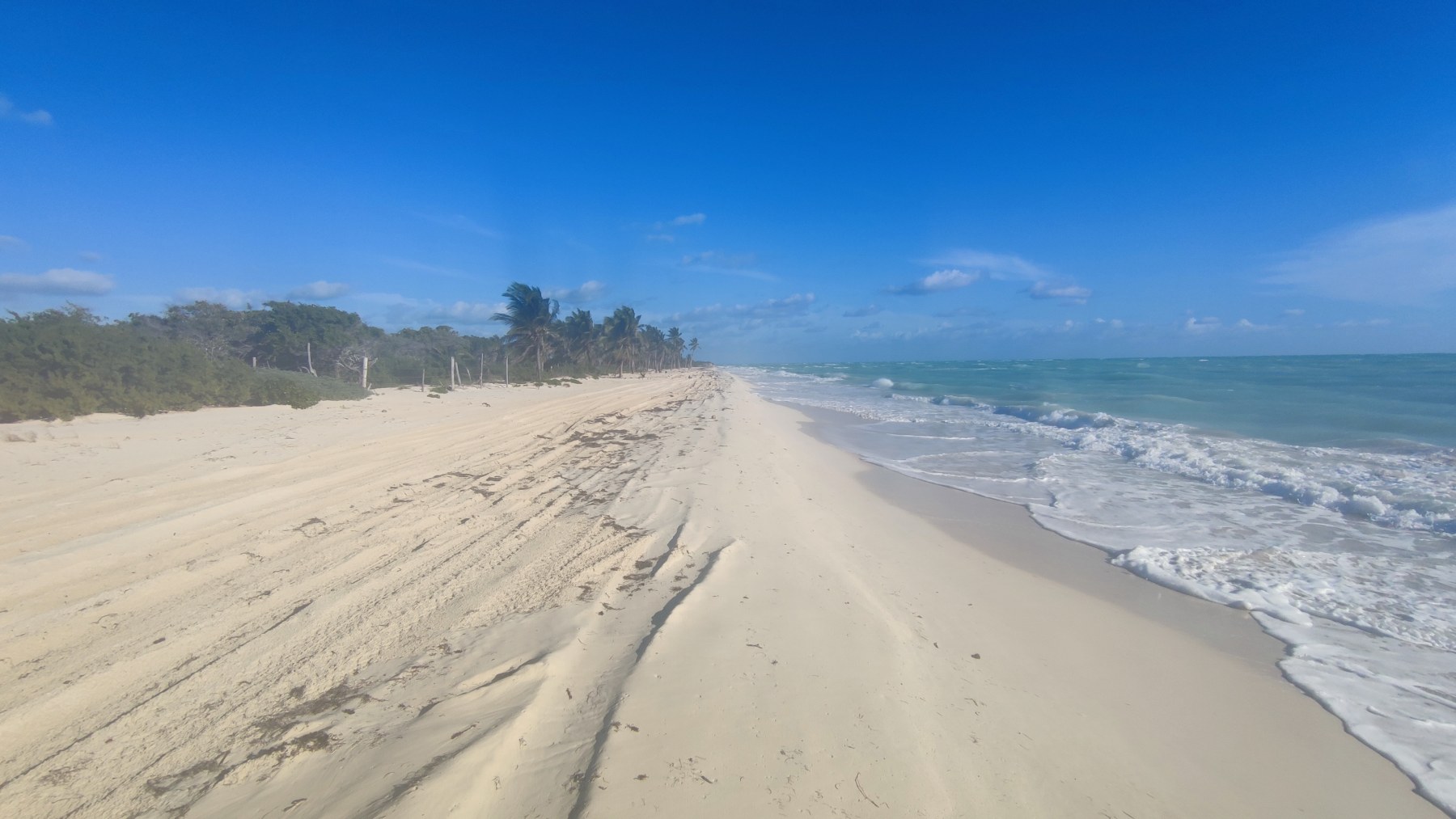 Plage sauvage du Golfe du Mexique
