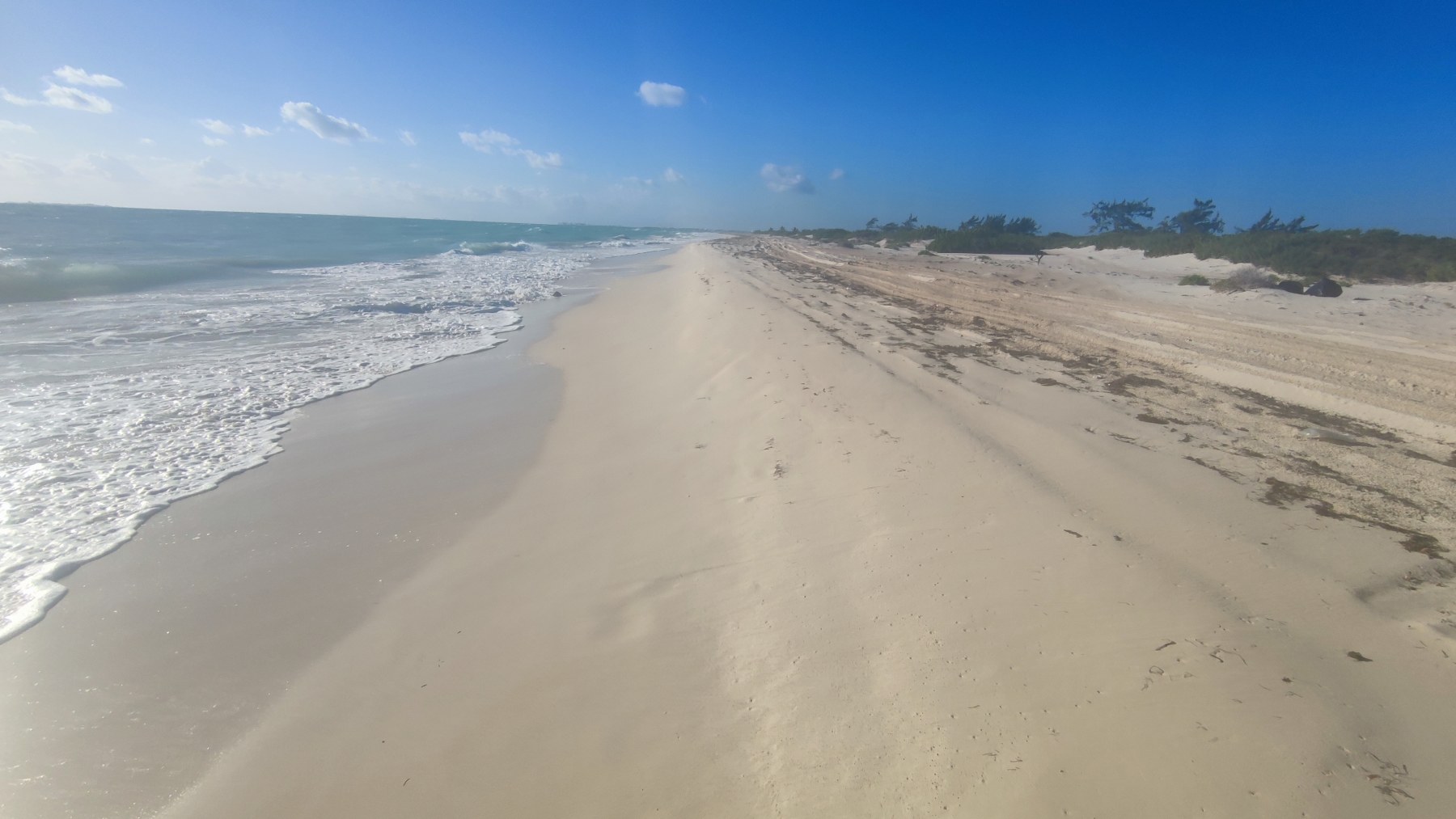 Plage sauvage du Golfe du Mexique